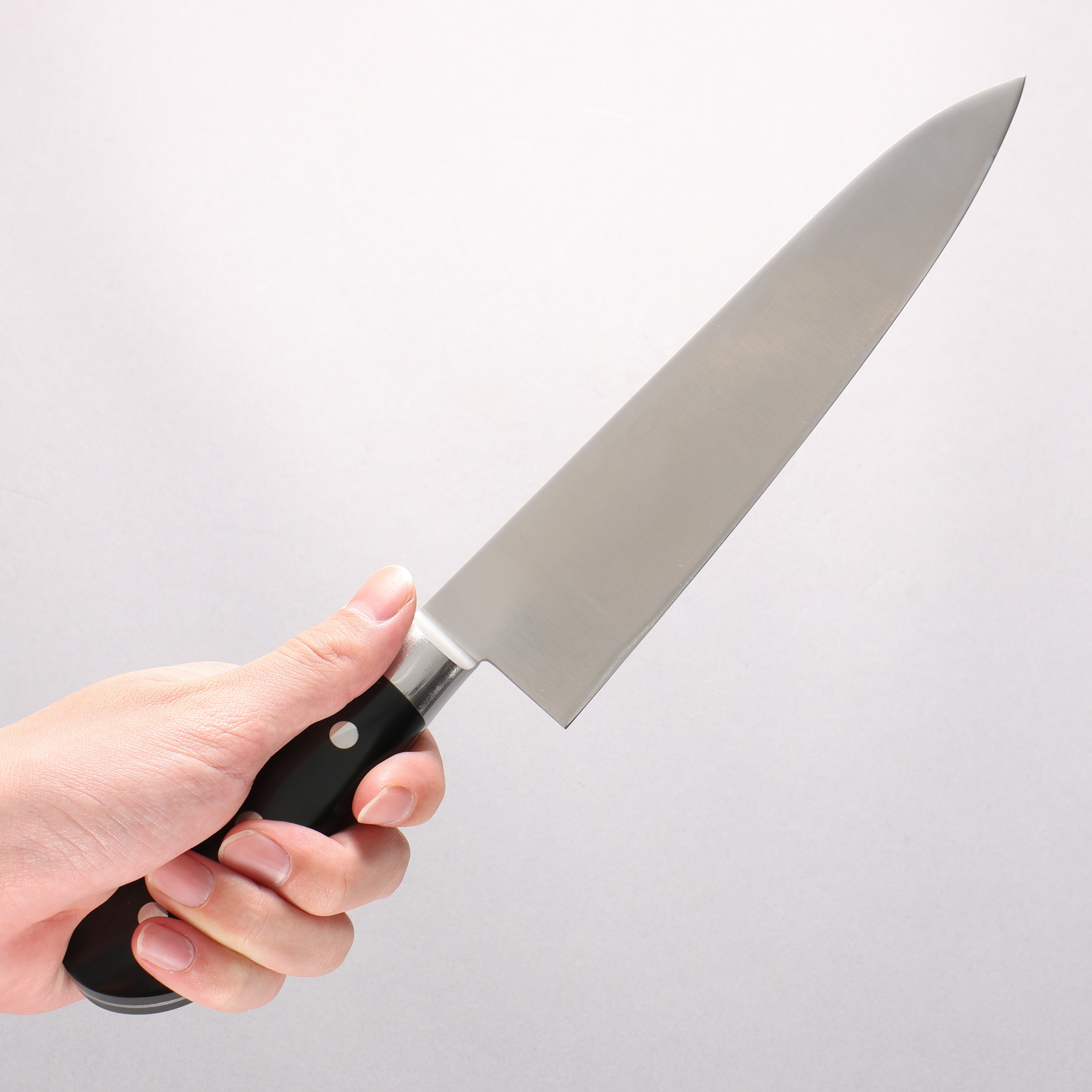 Iseya Molybdenum Gyuto 210mm Black Micarta Handle - Japanny - Best Japanese Knife