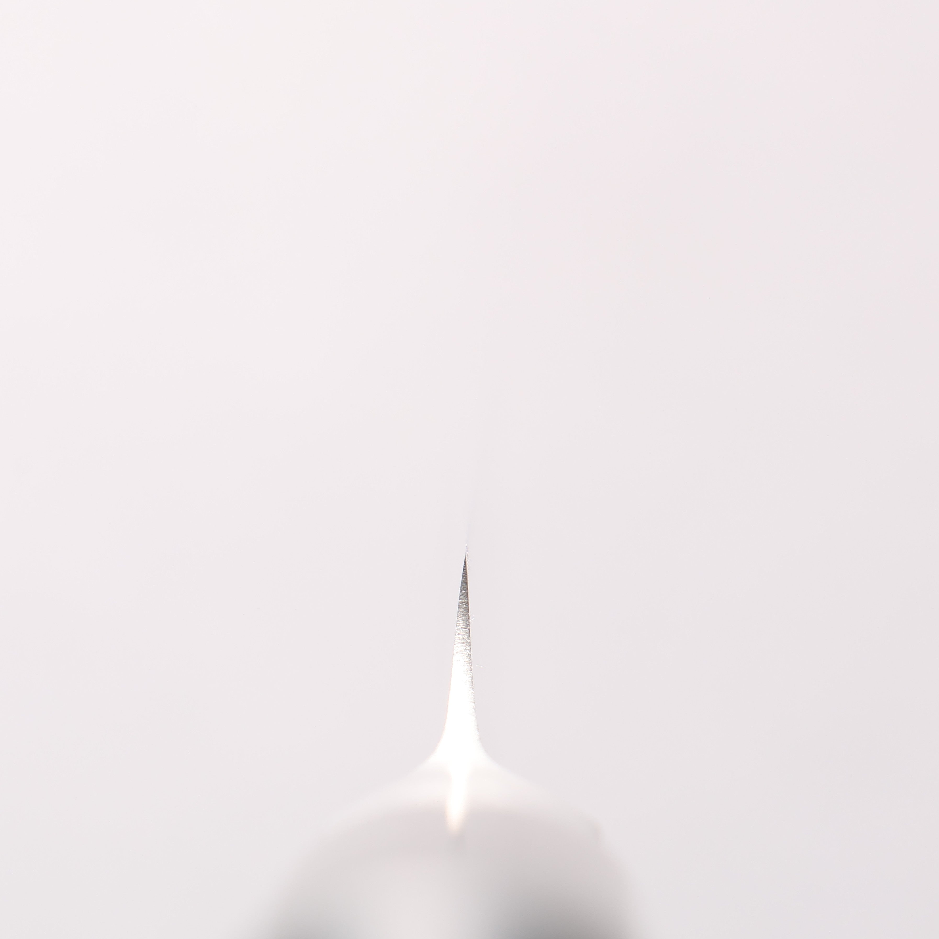 Glestain Stainless Steel Fillet - Japanny - Best Japanese Knife