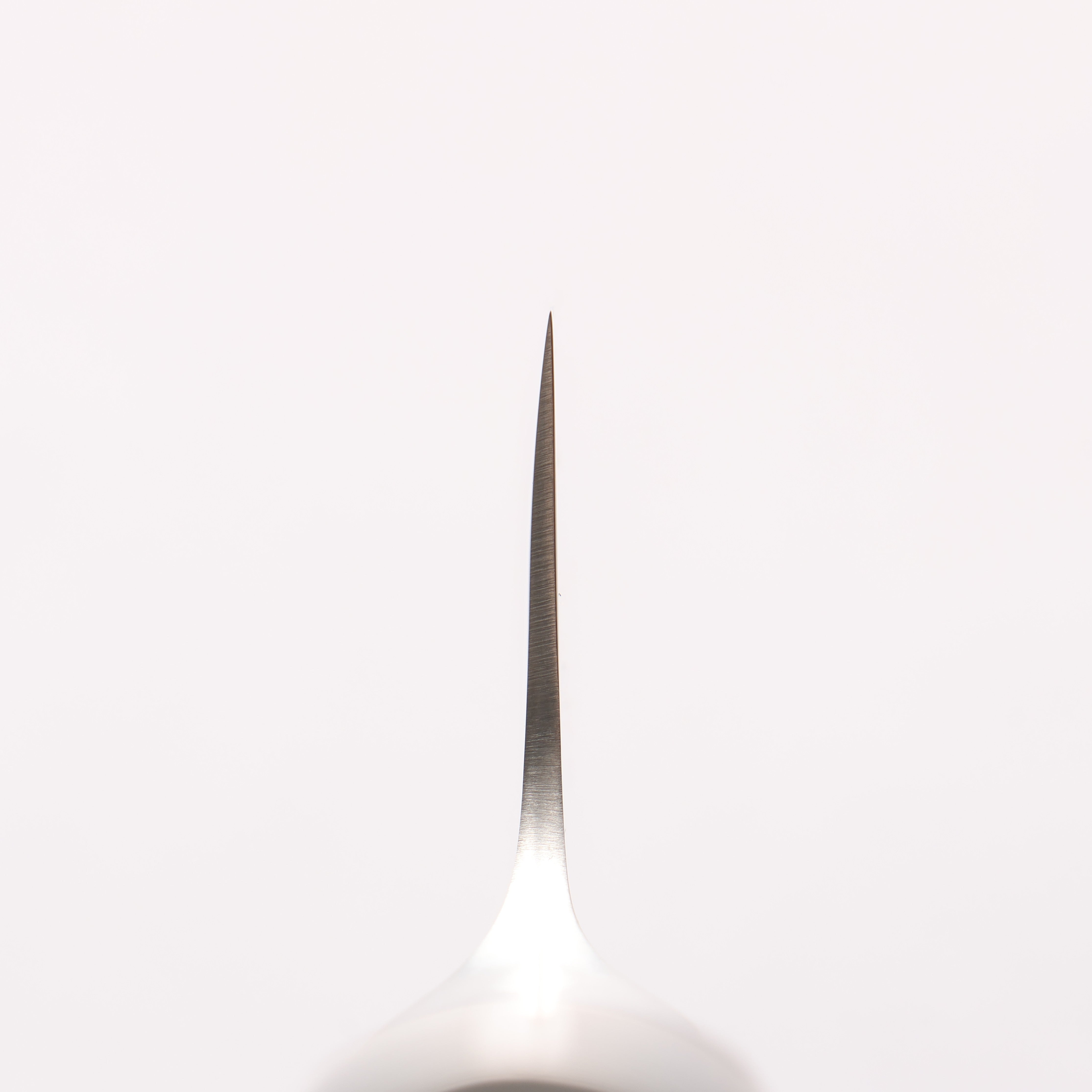 Glestain Stainless Steel Gyuto - Japanny - Best Japanese Knife