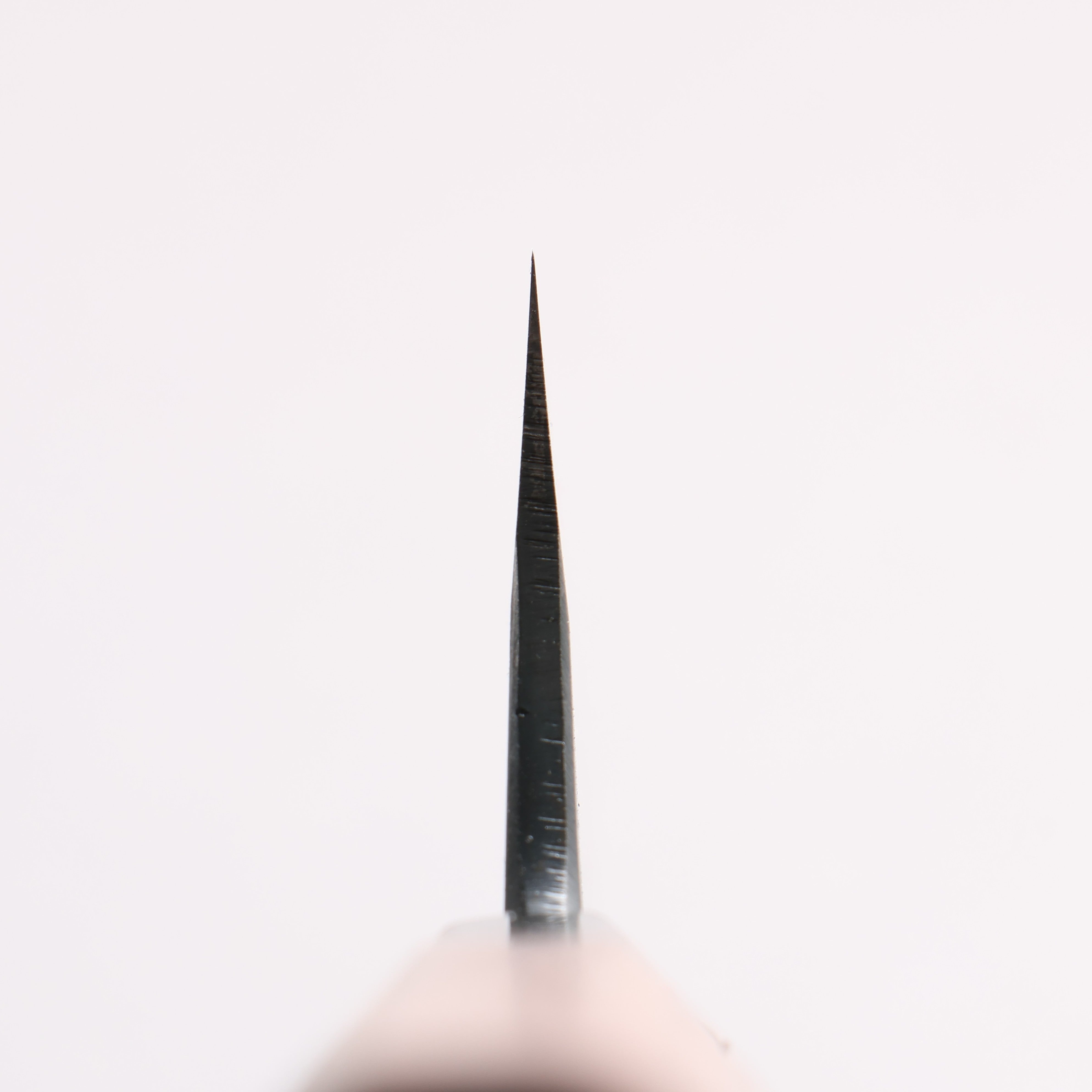 Daisuke Nishida Koharu White Steel No.1 Black Finished Santoku 165mm Walnut Handle - Japanny - Best Japanese Knife