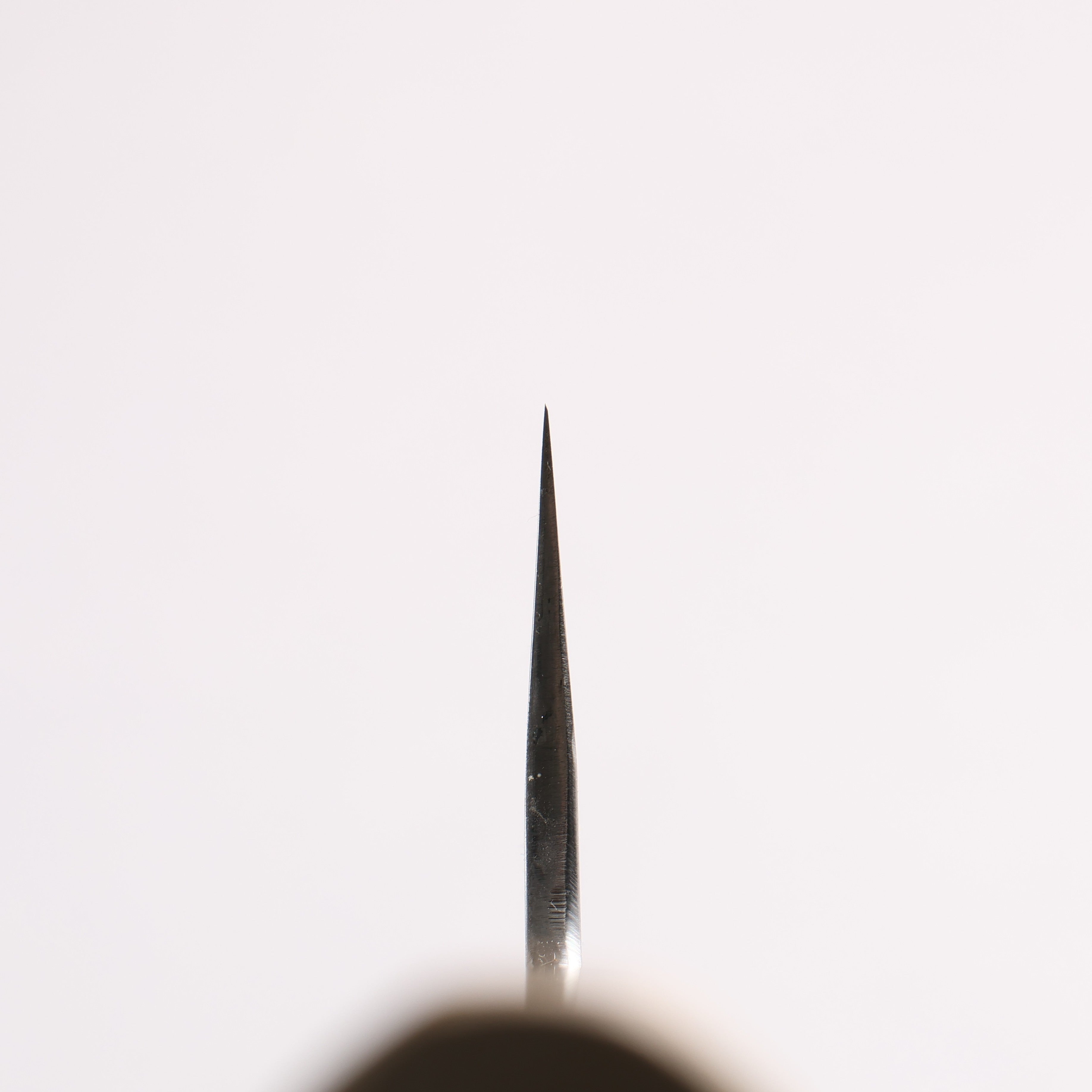 Sakai Kikumori White Steel No.1 Gyuto 210mm Magnolia (Ferrule: Water Buffalo Horn) Handle - Japanny - Best Japanese Knife