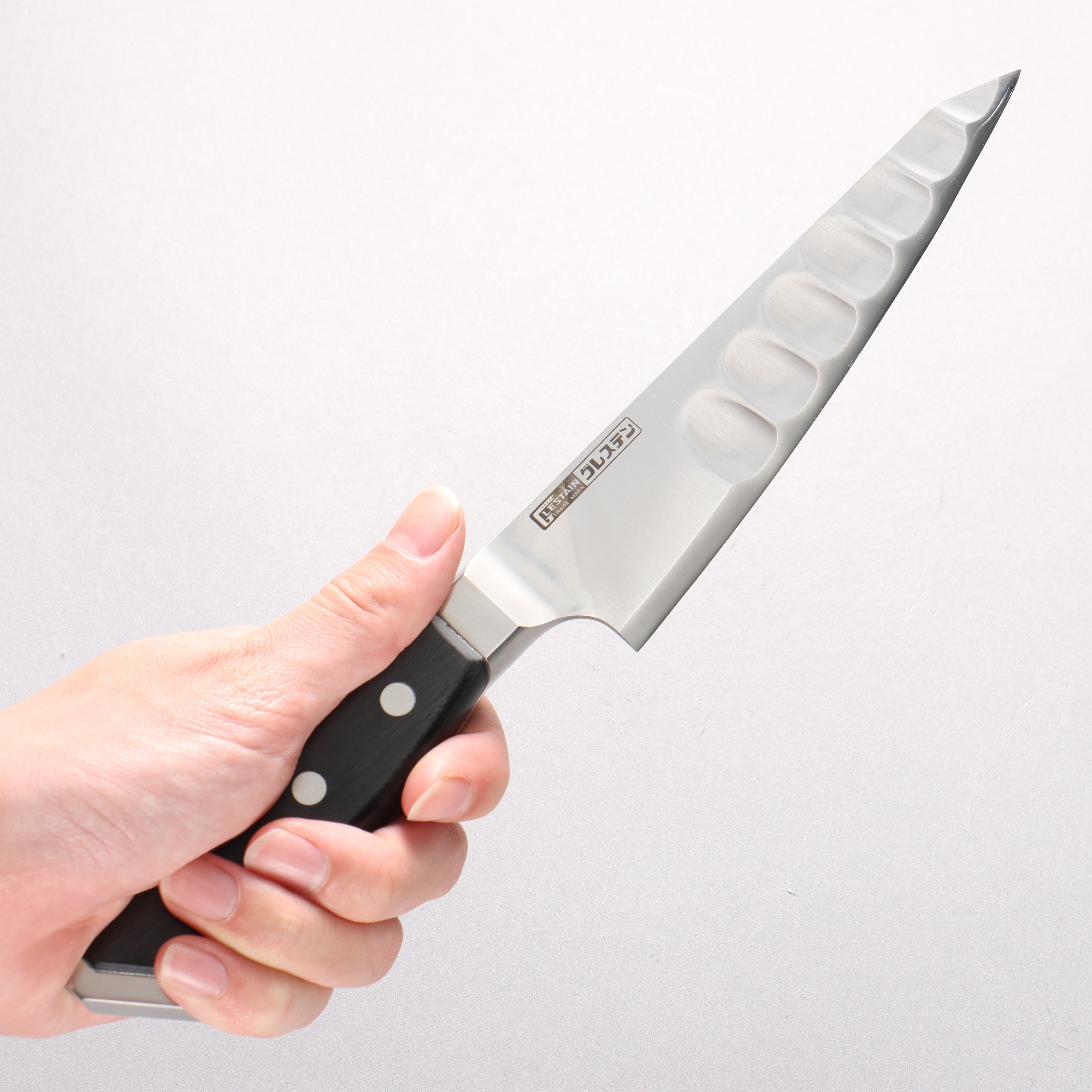 Glestain Stainless Steel Honesuki Boning 150mm - Japanny - Best Japanese Knife