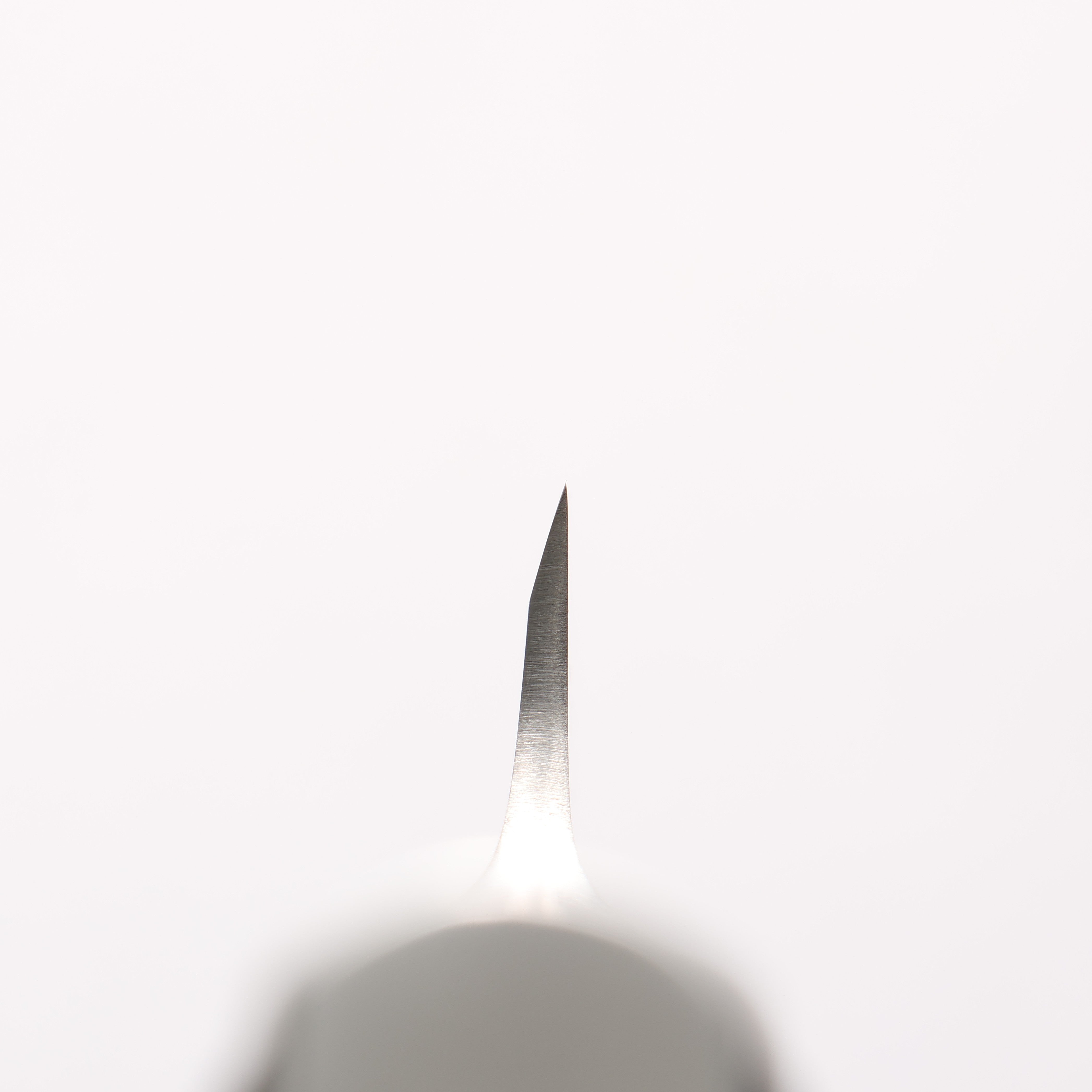 Glestain Stainless Steel Honesuki Boning 150mm - Japanny - Best Japanese Knife