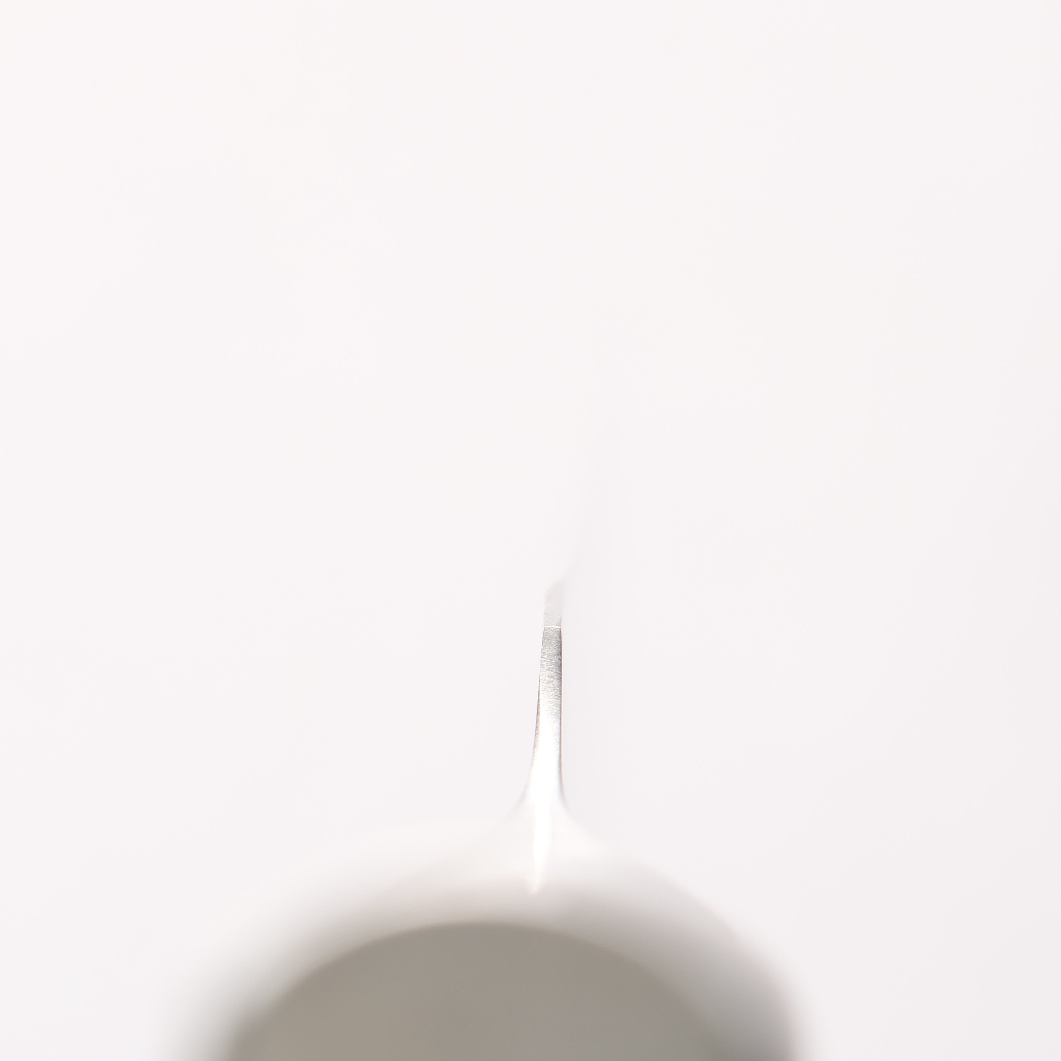 Glestain Stainless Steel Carving 220mm - Japanny - Best Japanese Knife