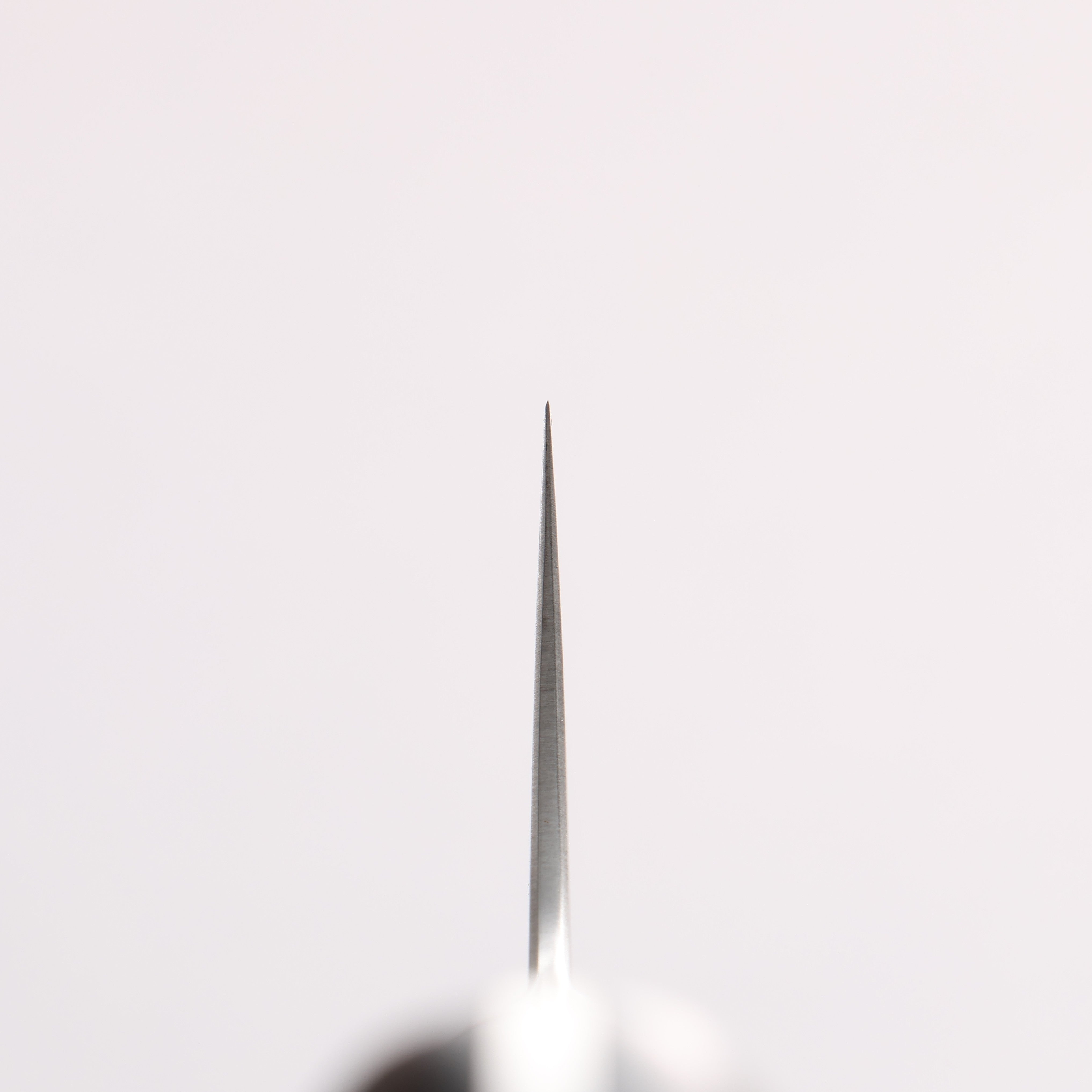 Kajin Blue Super Damascus Gyuto 210mm Mahogany Handle