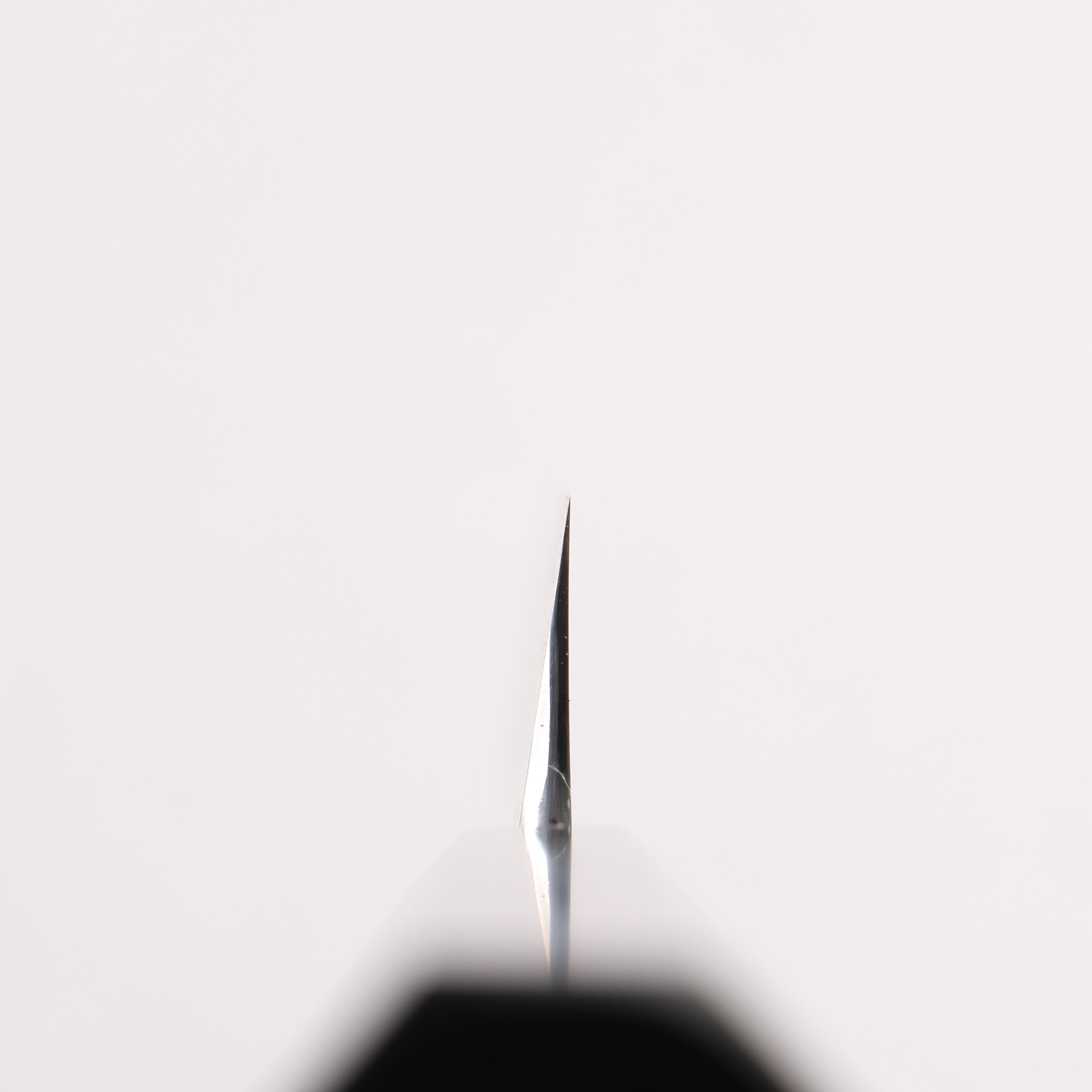 Tessen by Tanaka Tamahagane Mirrored Finish Kiritsuke Yanagiba 300mm Ebony Wood Handle with Sheath - Japanny - Best Japanese Knife