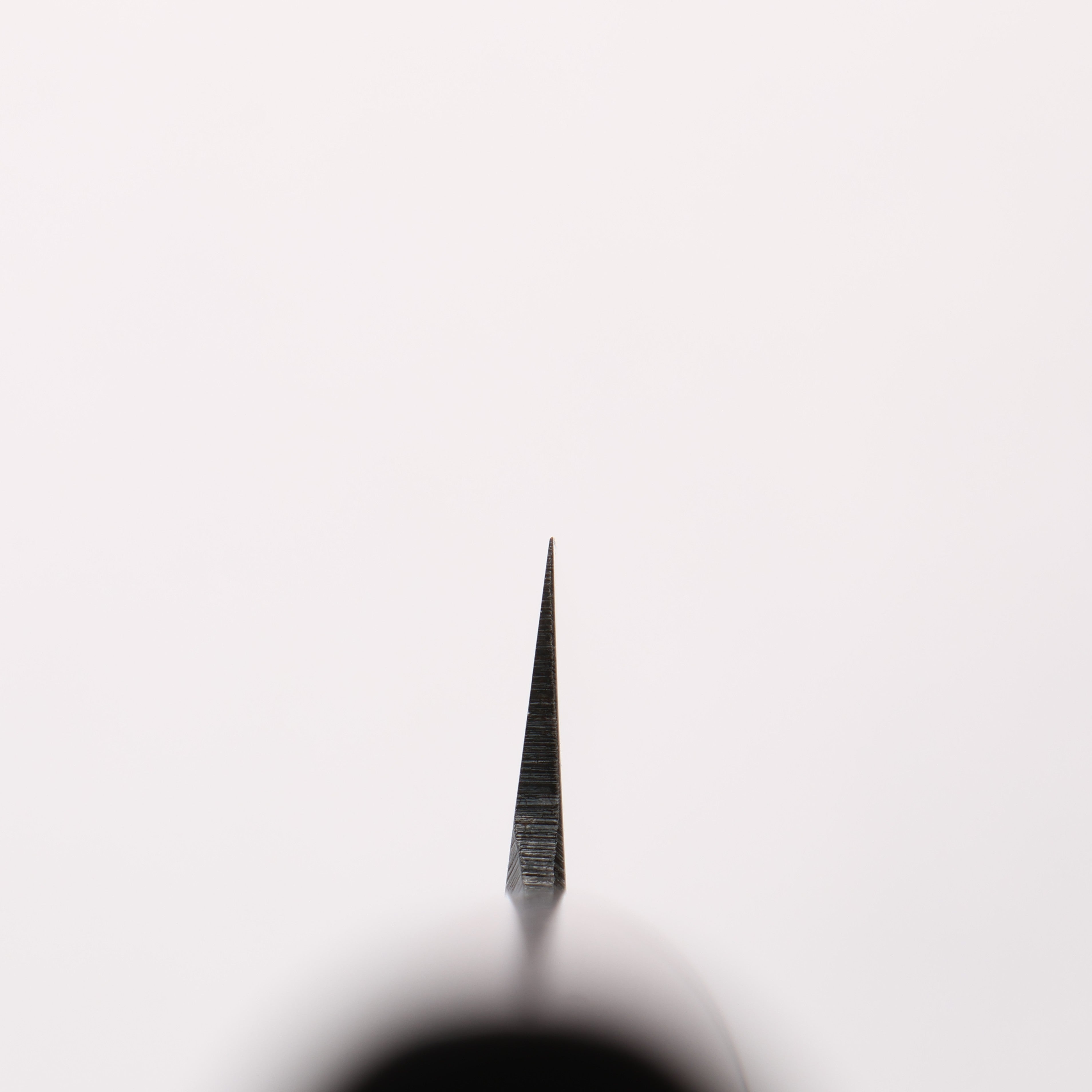 Seisuke Blue Steel Kasumitogi Yanagiba 240mm Rosewood Handle - Japanny - Best Japanese Knife