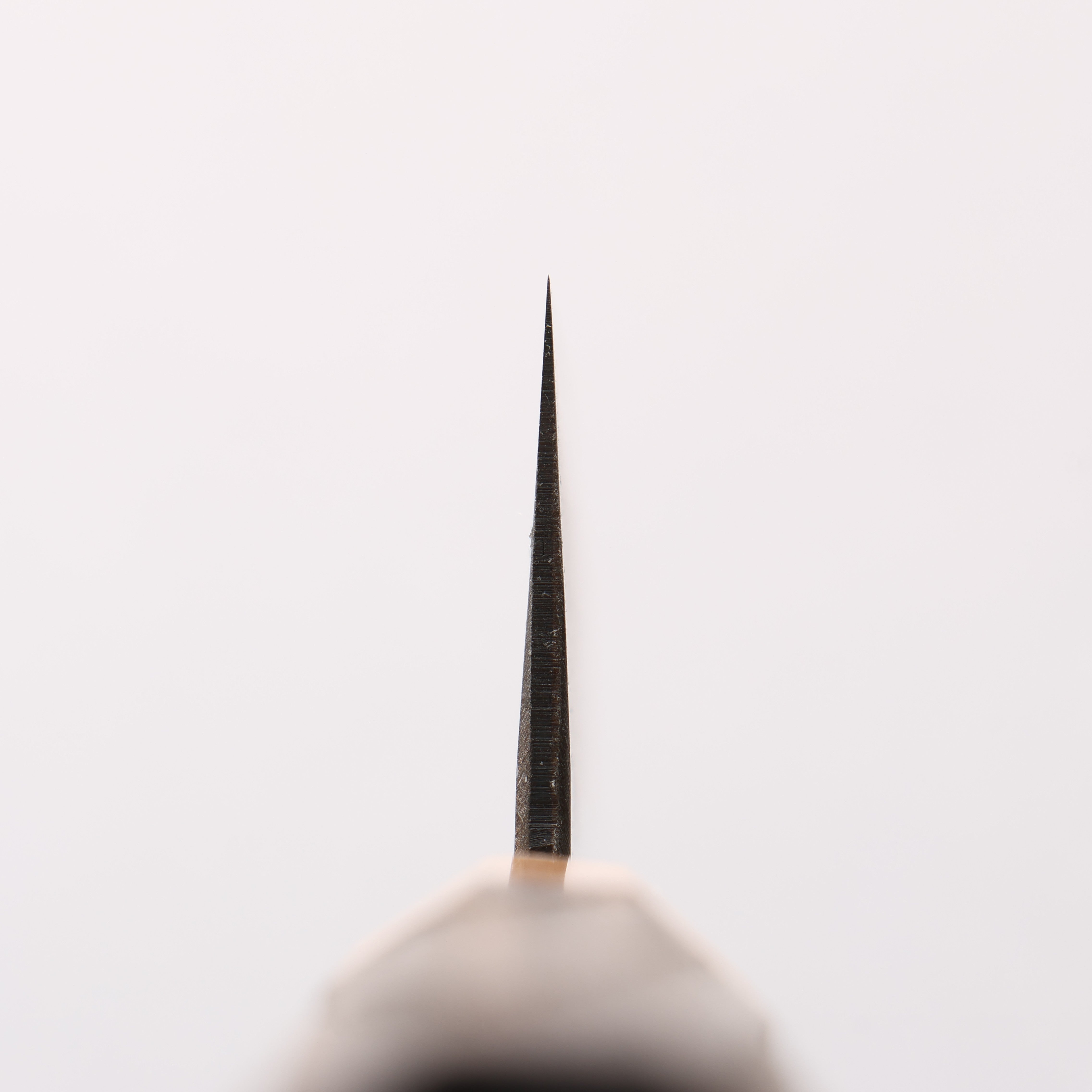 Seisuke Blue Steel No.2 Black Finished Kiritsuke Gyuto 240mm Burnt Chestnut (ferrule: Cherry Wood) Handle - Japanny - Best Japanese Knife