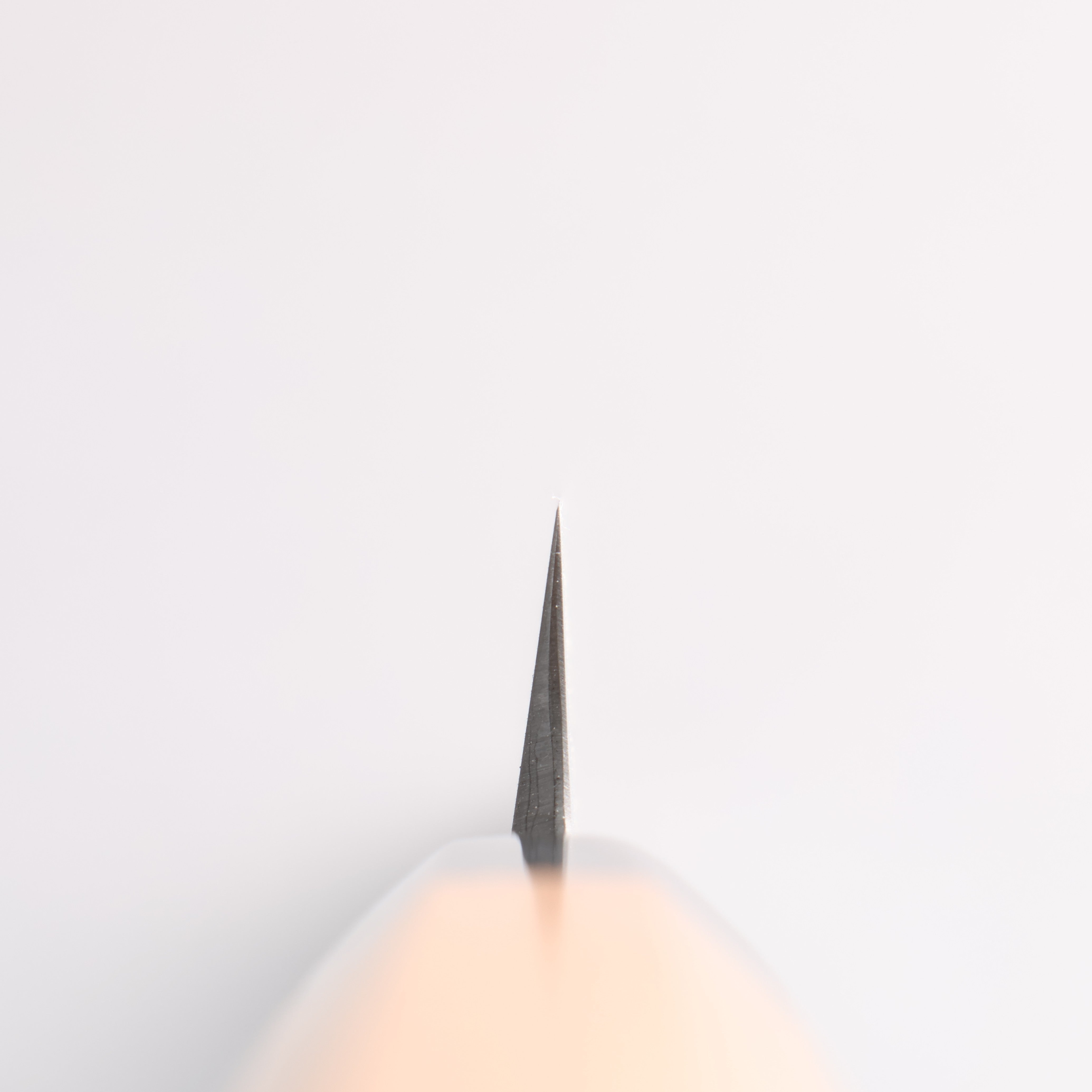 Tessen by Tanaka Tamahagane Sakimaru Yanagiba 315mm Wild Cherry Handle with Sheath - Japanny - Best Japanese Knife