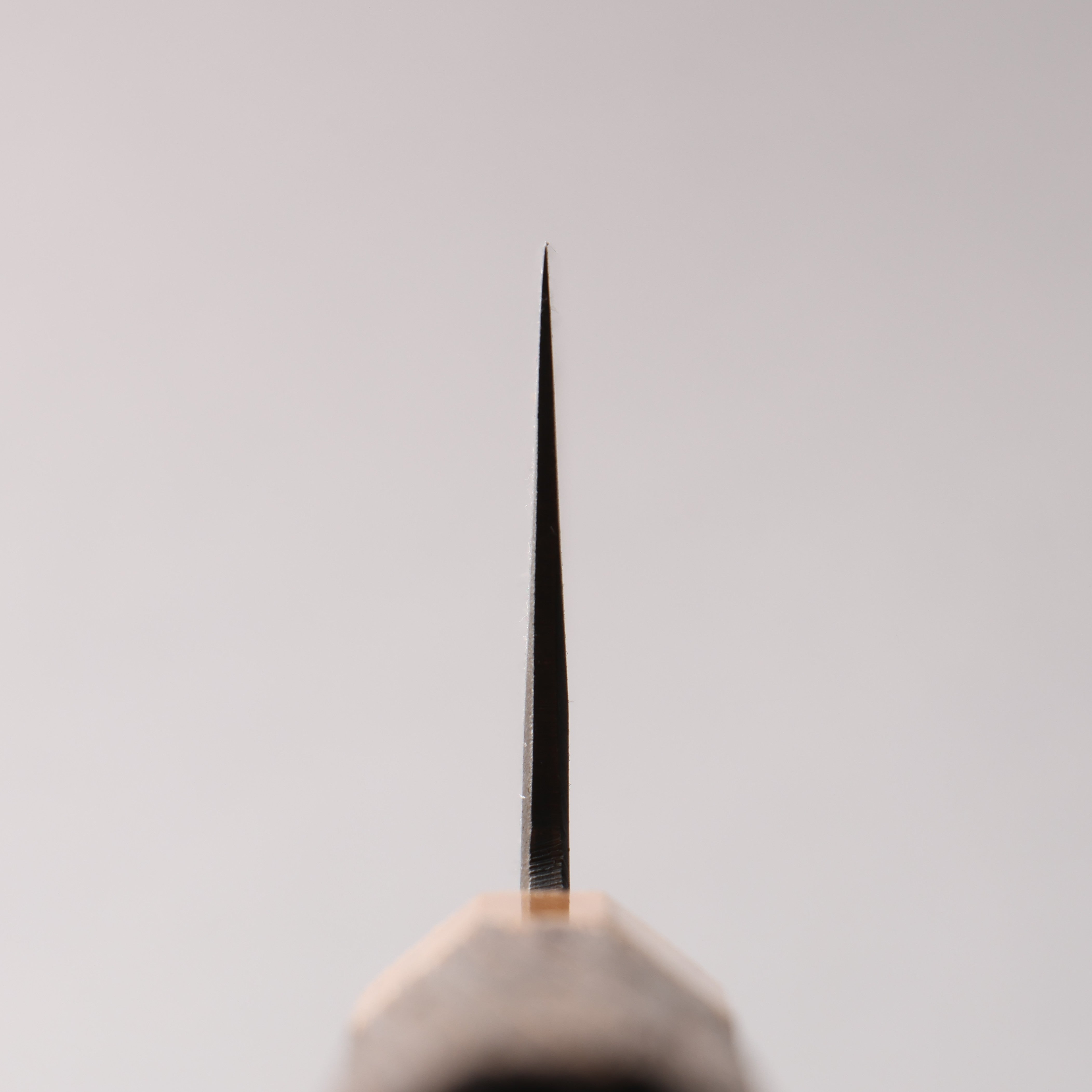 Seisuke Blue Steel No.2 Black Finished Nakiri 165mm Burnt Chestnut (ferrule: Cherry Wood) Handle - Japanny - Best Japanese Knife