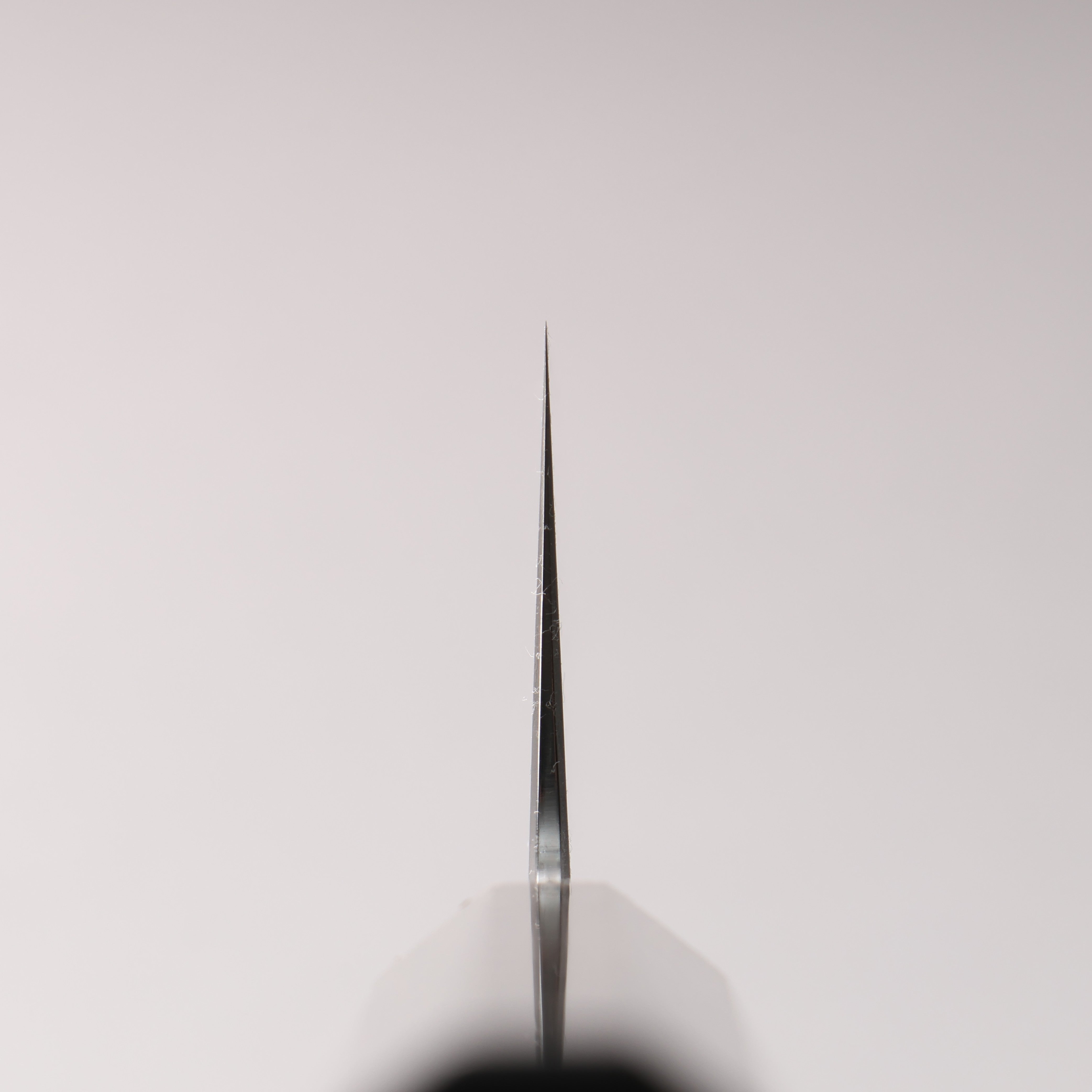 Naohito Myojin SG2 Kasumitogi Gyuto 240mm Striped Ebony (Narrow Ferrule: Black Stabilized Wood) Handle - Japanny - Best Japanese Knife