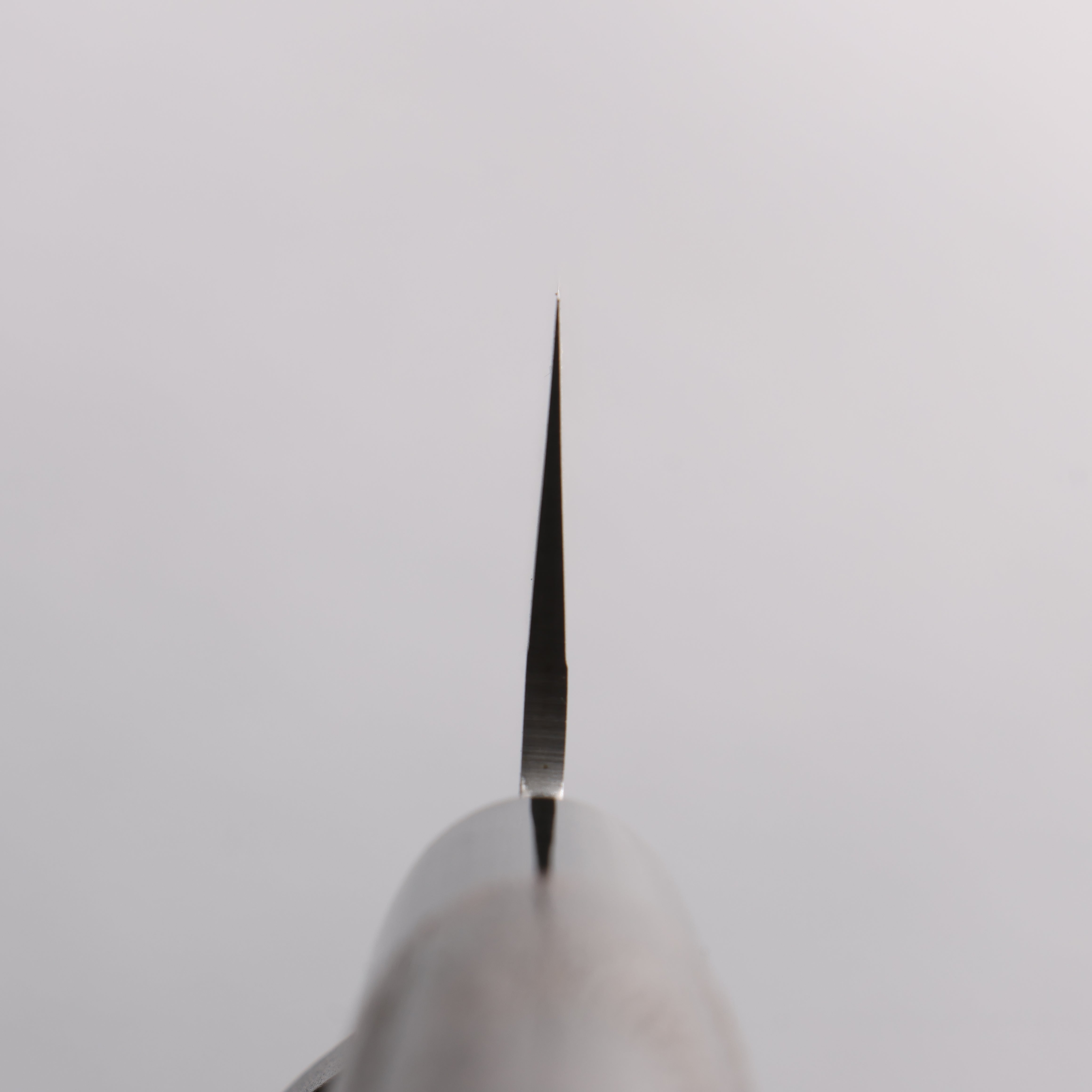 Seisuke VG1 Santoku 180mm Burnt Chestnut Handle