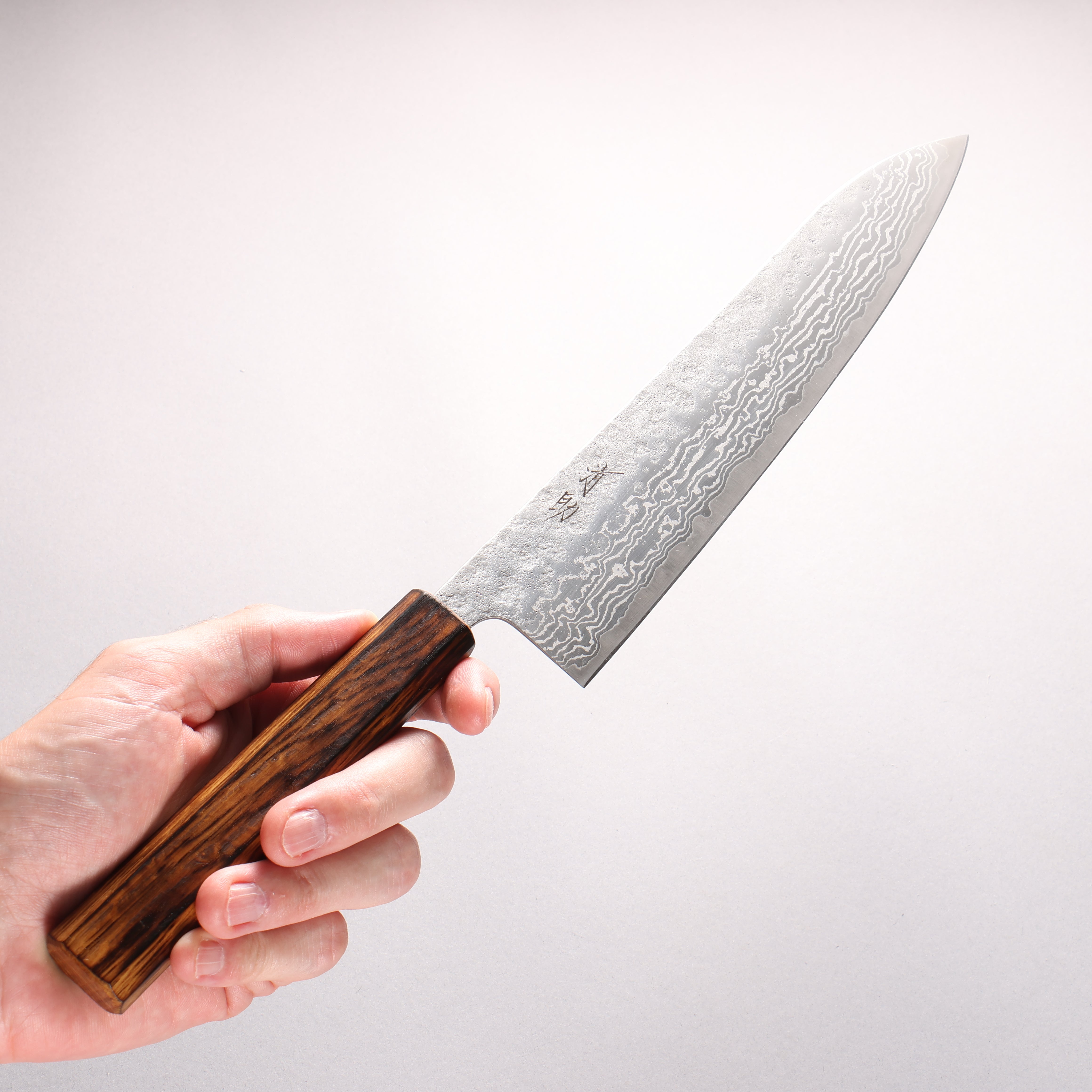 Seisuke Stainless Steel 440C Hammered Damascus Matte Gyuto 240mm Burnt Oak Handle