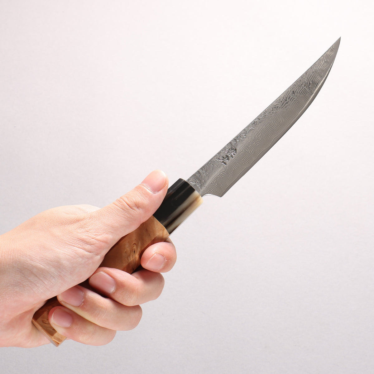 Enkyu SG2 Damascus Migaki Finished Kiritsuke Petty-Utility 135mm Chinese Quince Handle - Japanny - Best Japanese Knife