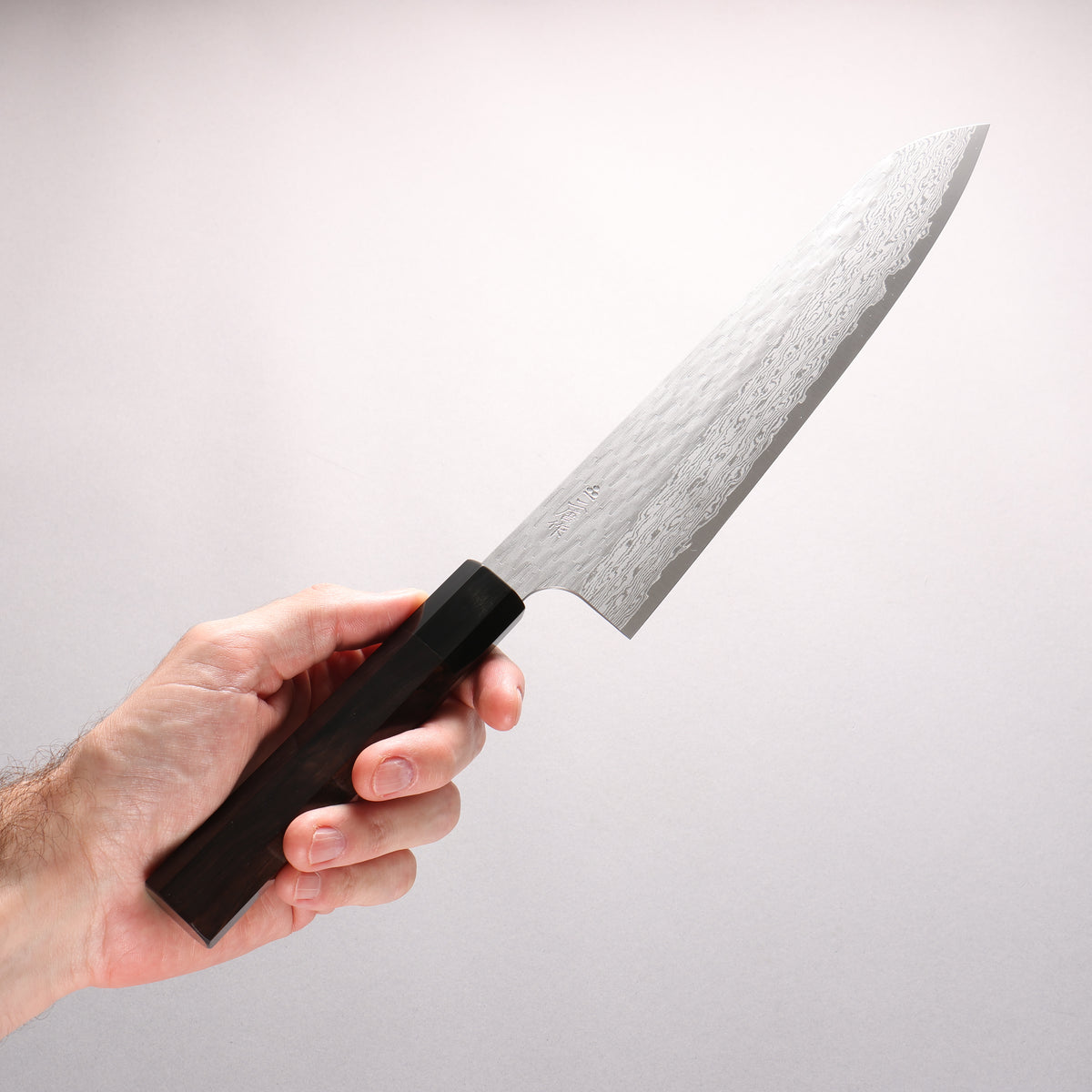 Nigara VG-XEOS Hammered Damascus Gyuto 255mm Ebony Wood (ferrule: Black Water Buffalo Horn) Handle