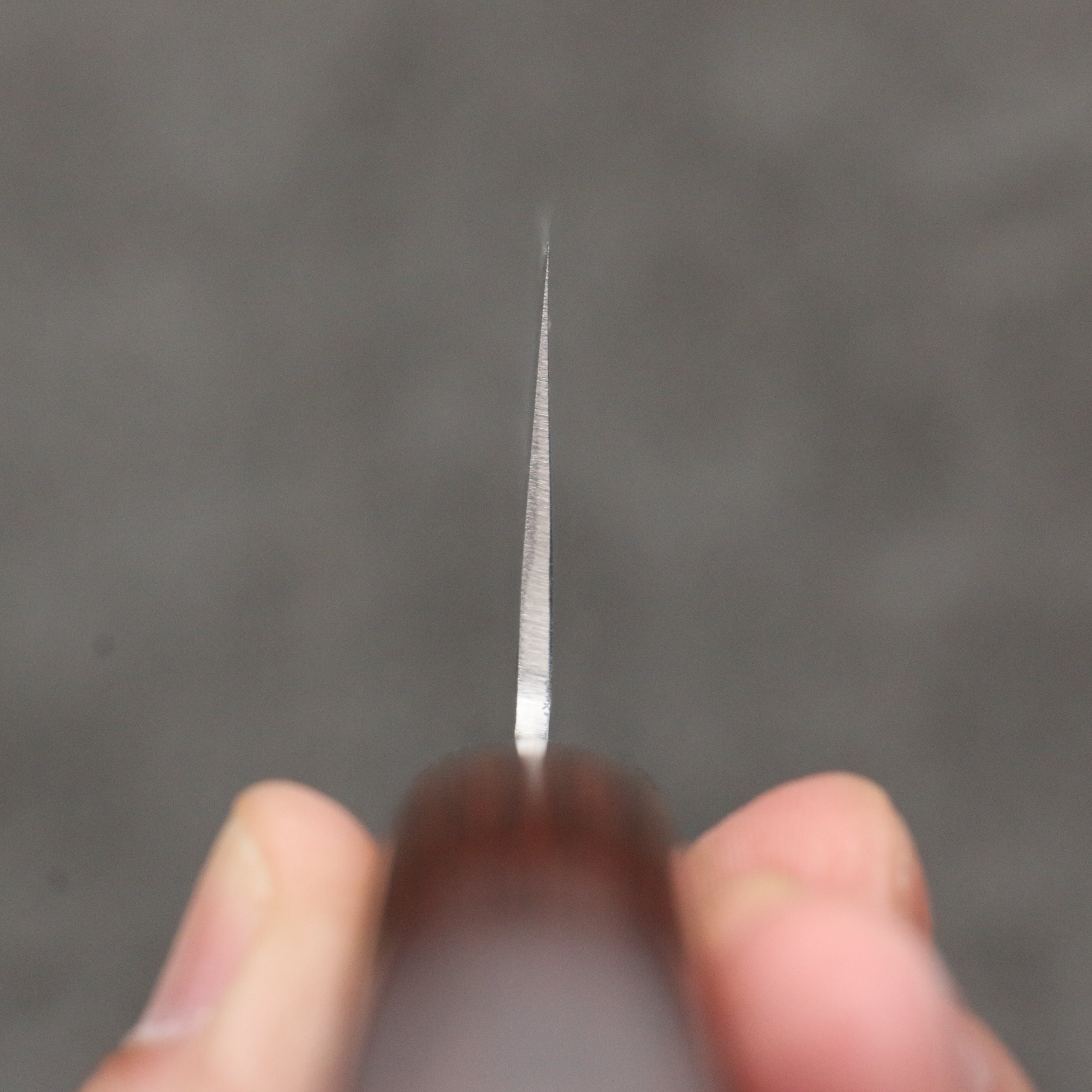 Seisuke VG10 Hammered Ribbed Santoku 180mm Mahogany Handle - Japanny - Best Japanese Knife