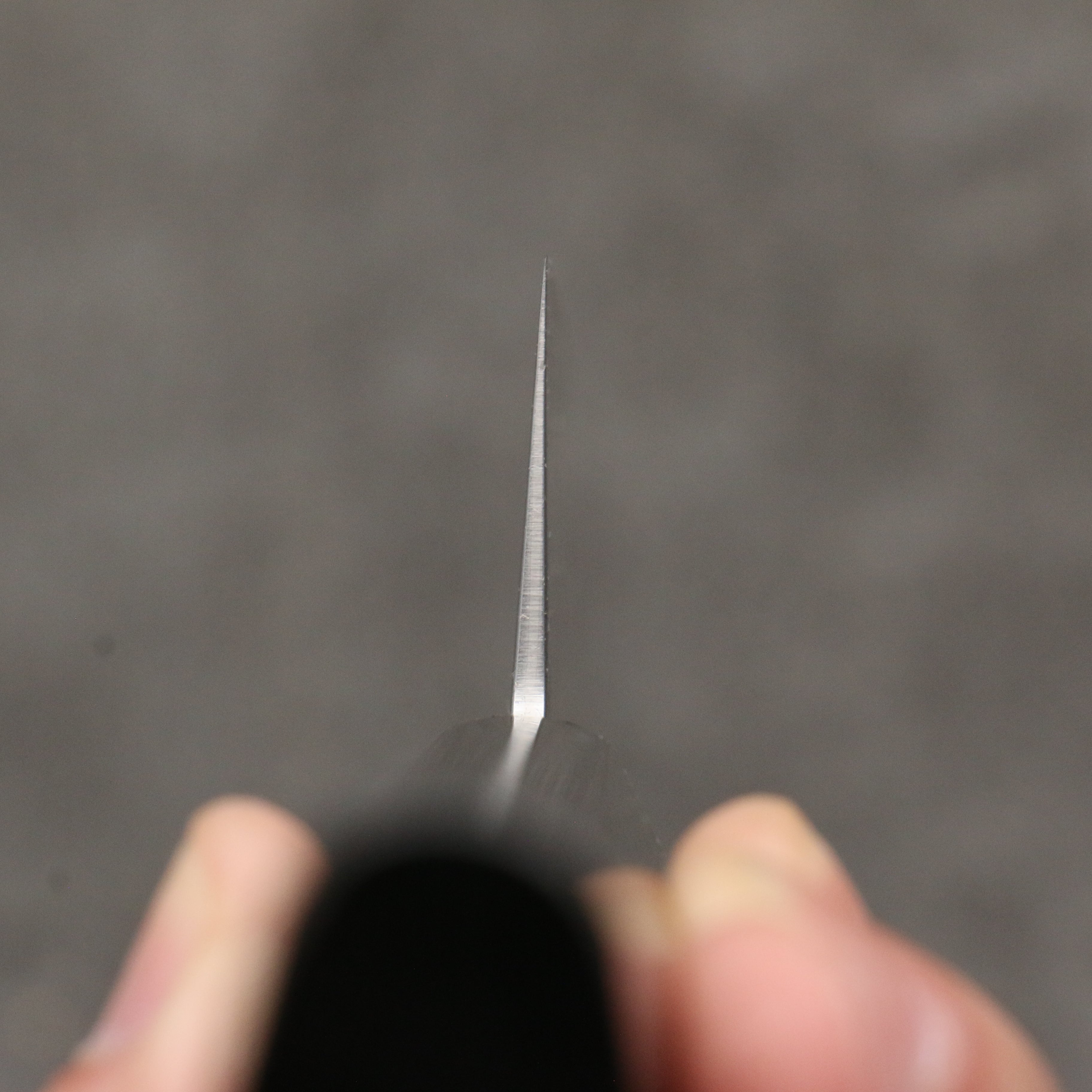 Sakai Takayuki VG10 Nashiji Gyuto 210mm Ebony Wood Handle - Japanny - Best Japanese Knife