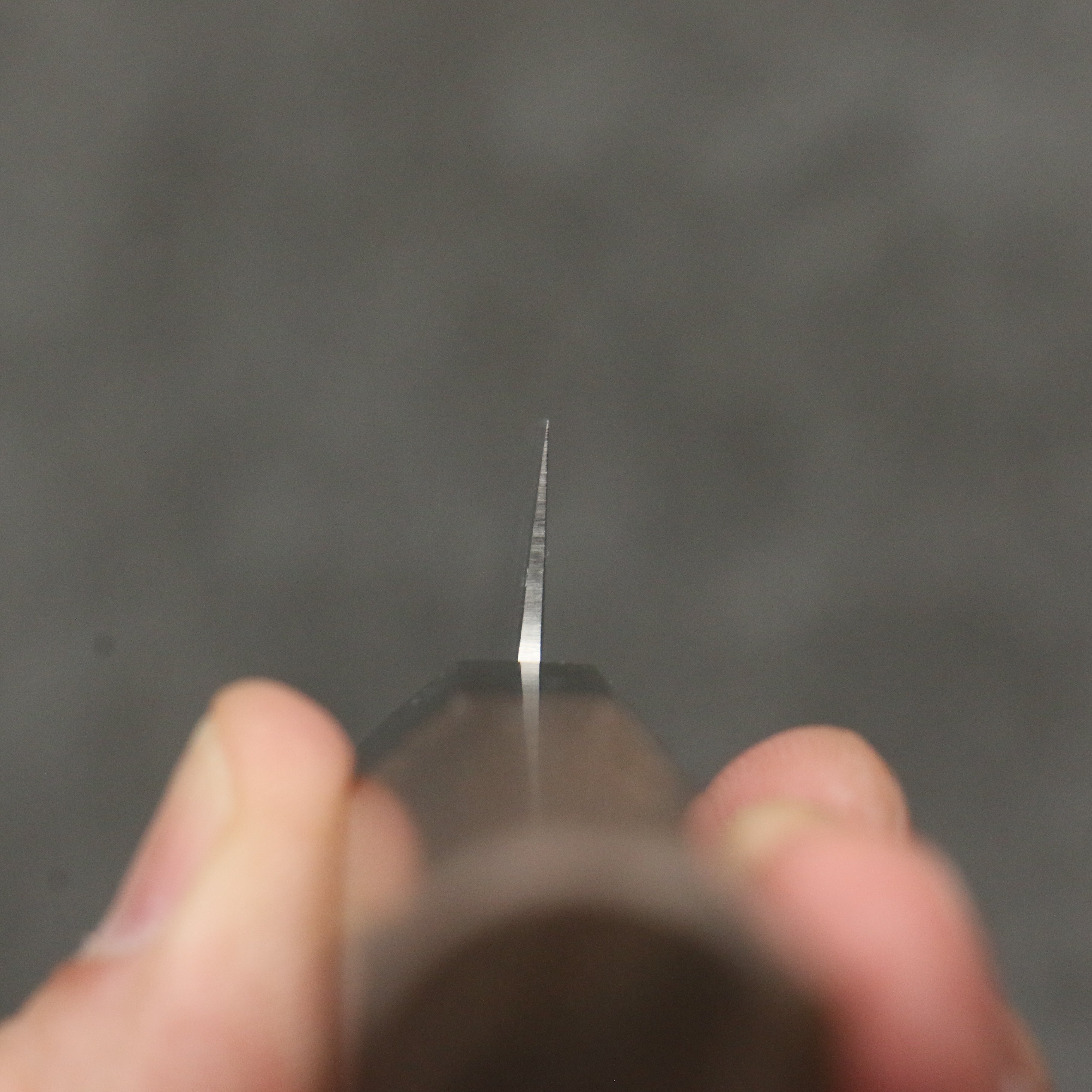 Kagekiyo Chromax Steel Petty-Utility 150mm Walnut Handle - Japanny - Best Japanese Knife