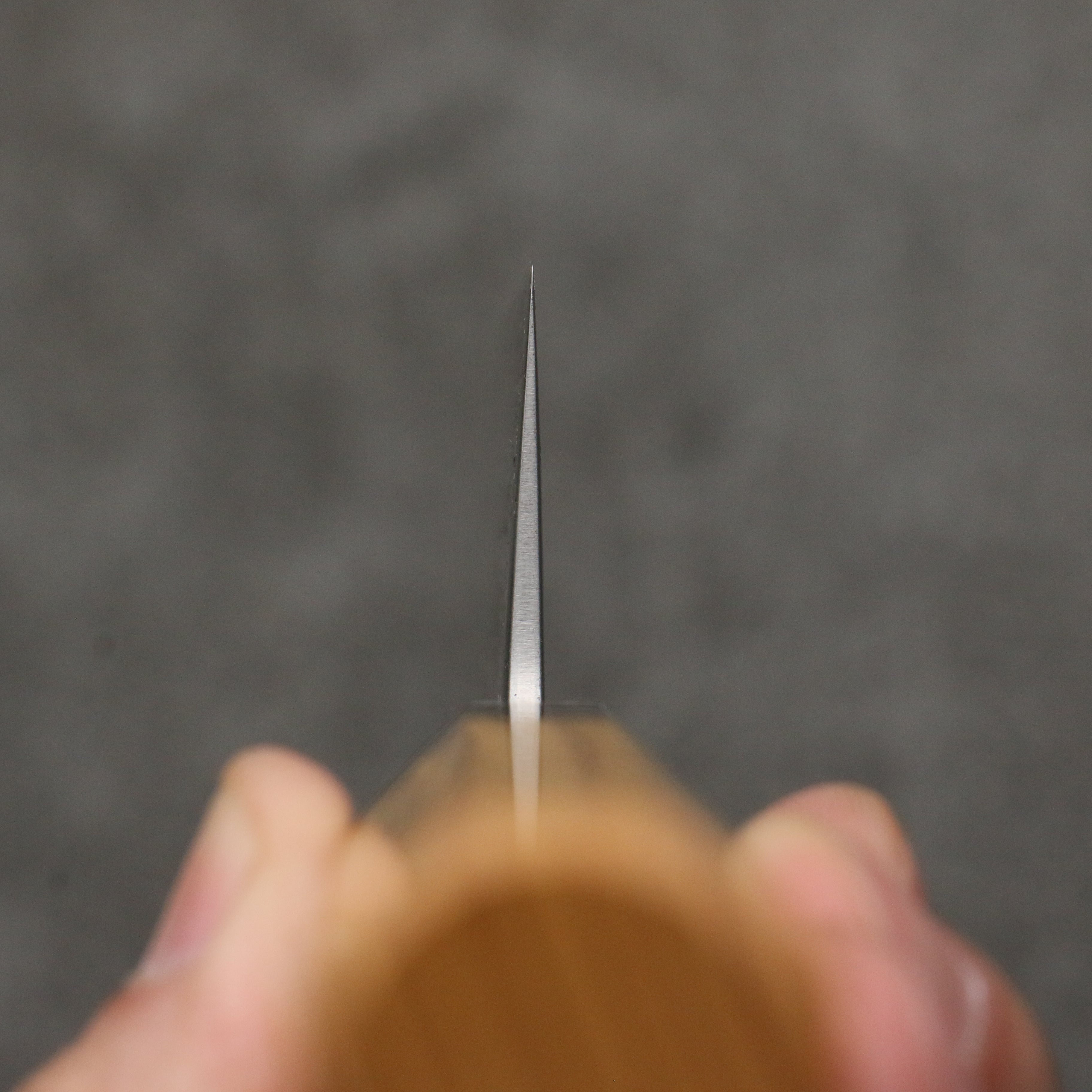 Oul White Steel No.1 Kiritsuke Gyuto 210mm Keyaki (Japanese Elm) Handle - Japanny - Best Japanese Knife