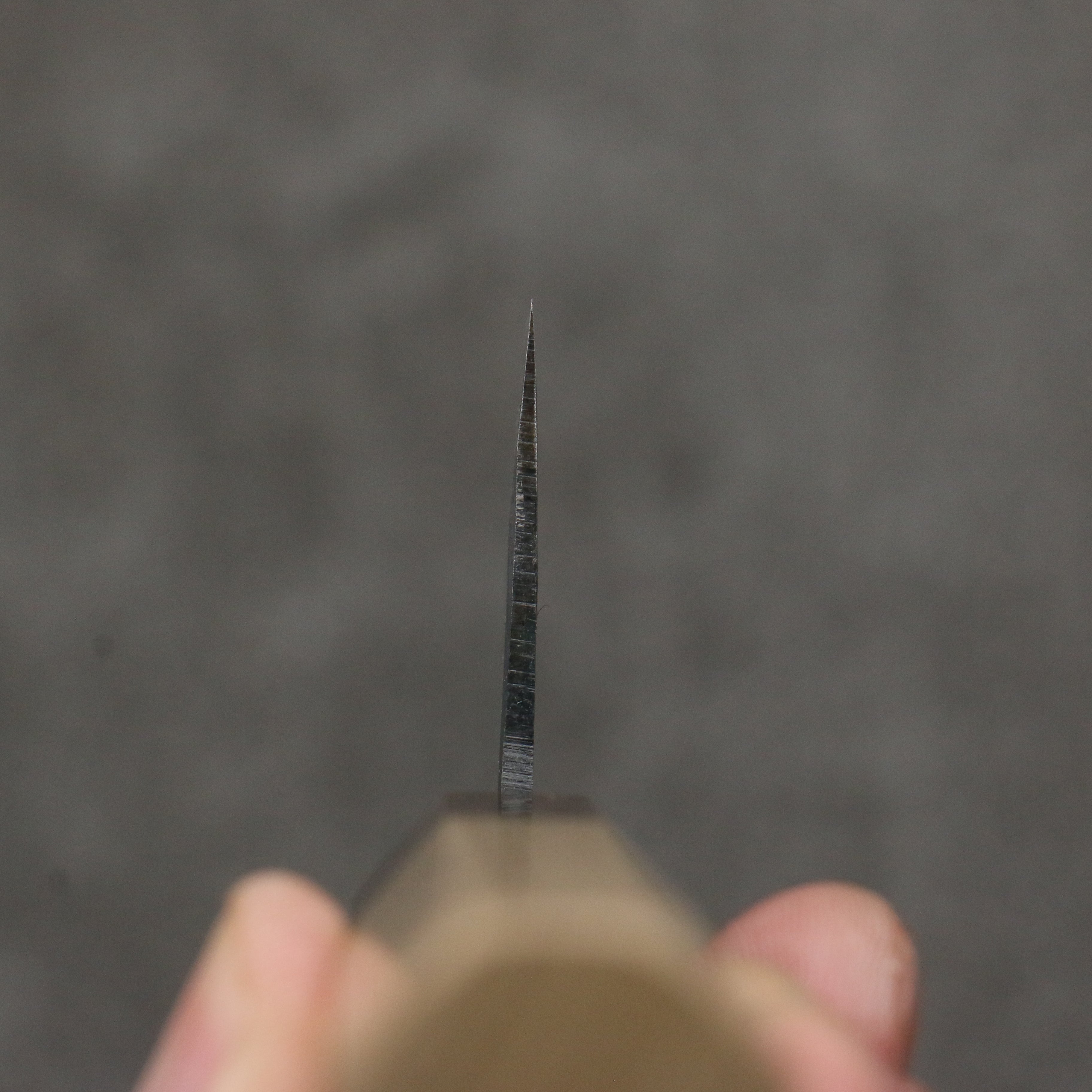 Seisuke Blue Steel No.1 Black Finished Small Bunka 150mm Magnolia (Ferrule: Ebony) Handle - Japanny - Best Japanese Knife