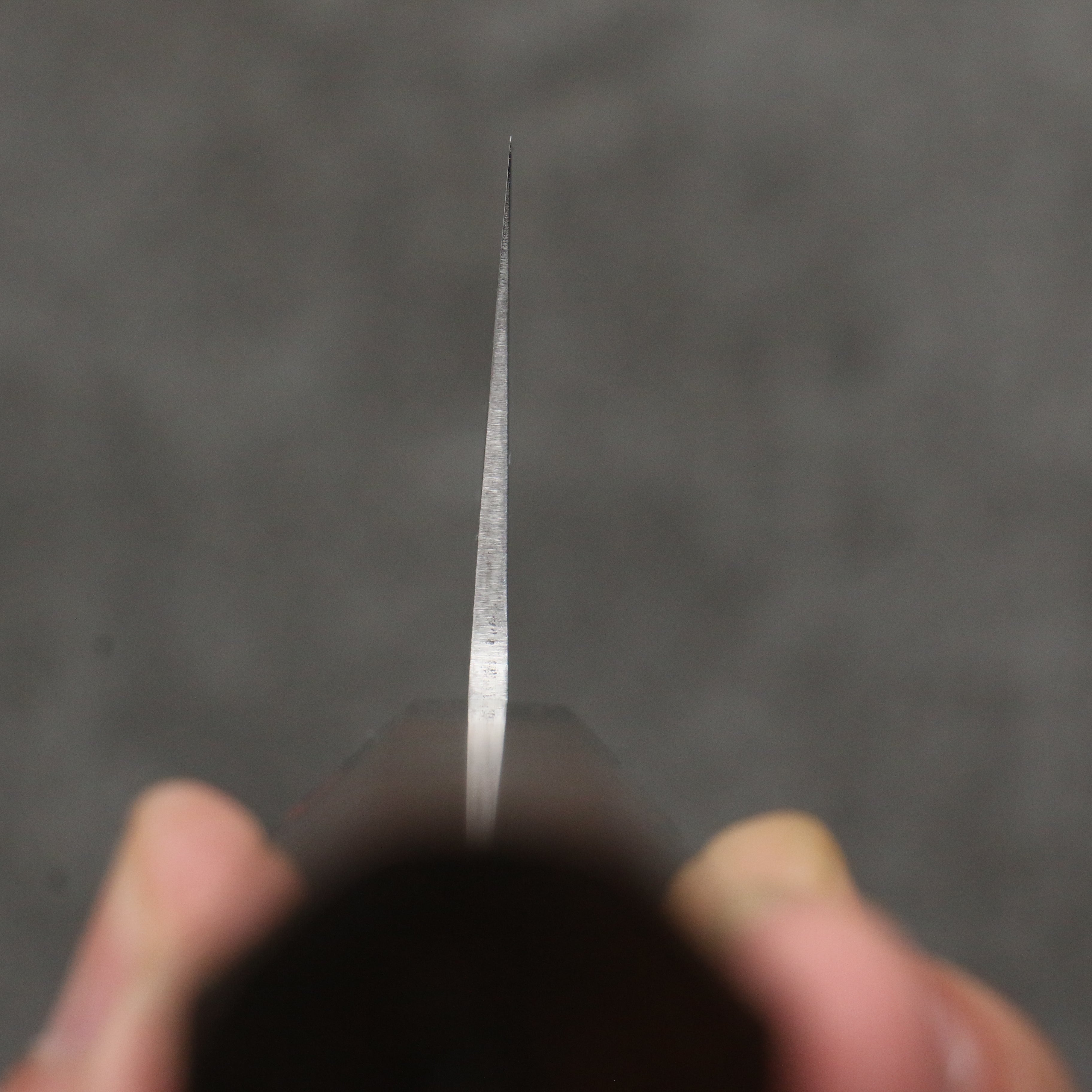 Shigeki Tanaka Harukaze SG2 Damascus Gyuto 240mm Walnut Handle - Japanny - Best Japanese Knife