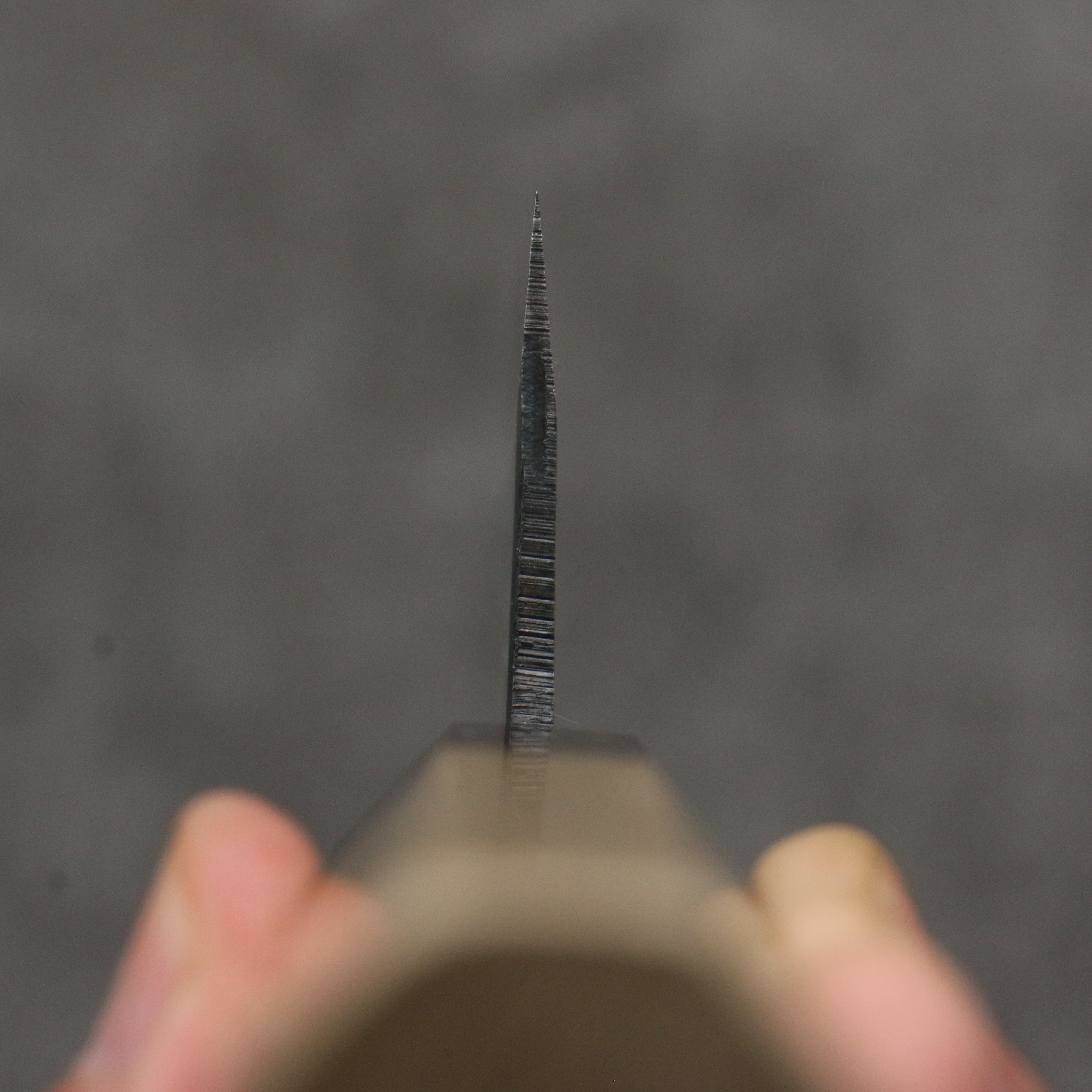 Seisuke Blue Super Black Finished Gyuto 210mm Magnolia (Ferrule: Ebony) Handle - Japanny - Best Japanese Knife