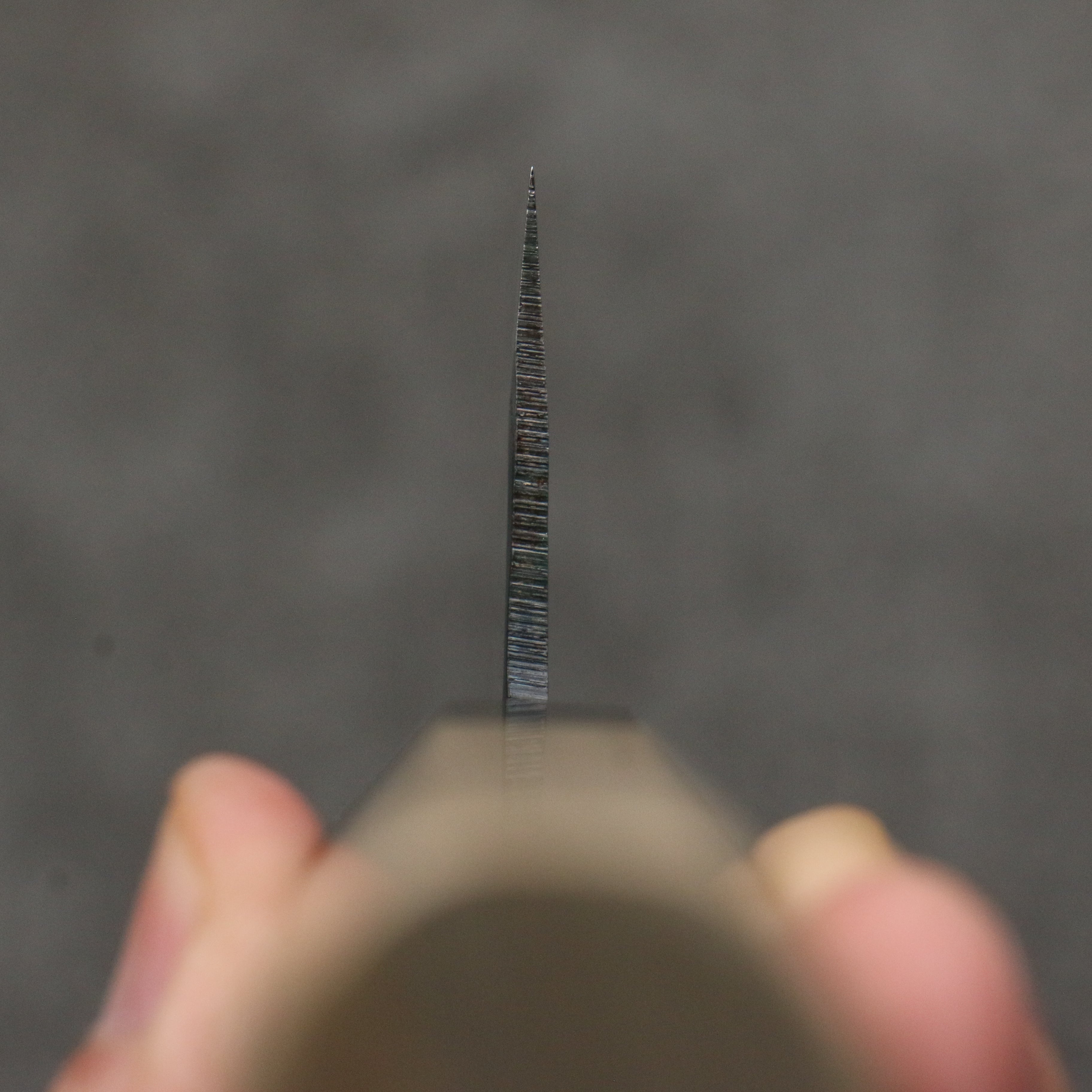 Seisuke Blue Super Black Finished Kiritsuke Gyuto 210mm Magnolia (Ferrule: Ebony) Handle - Japanny - Best Japanese Knife