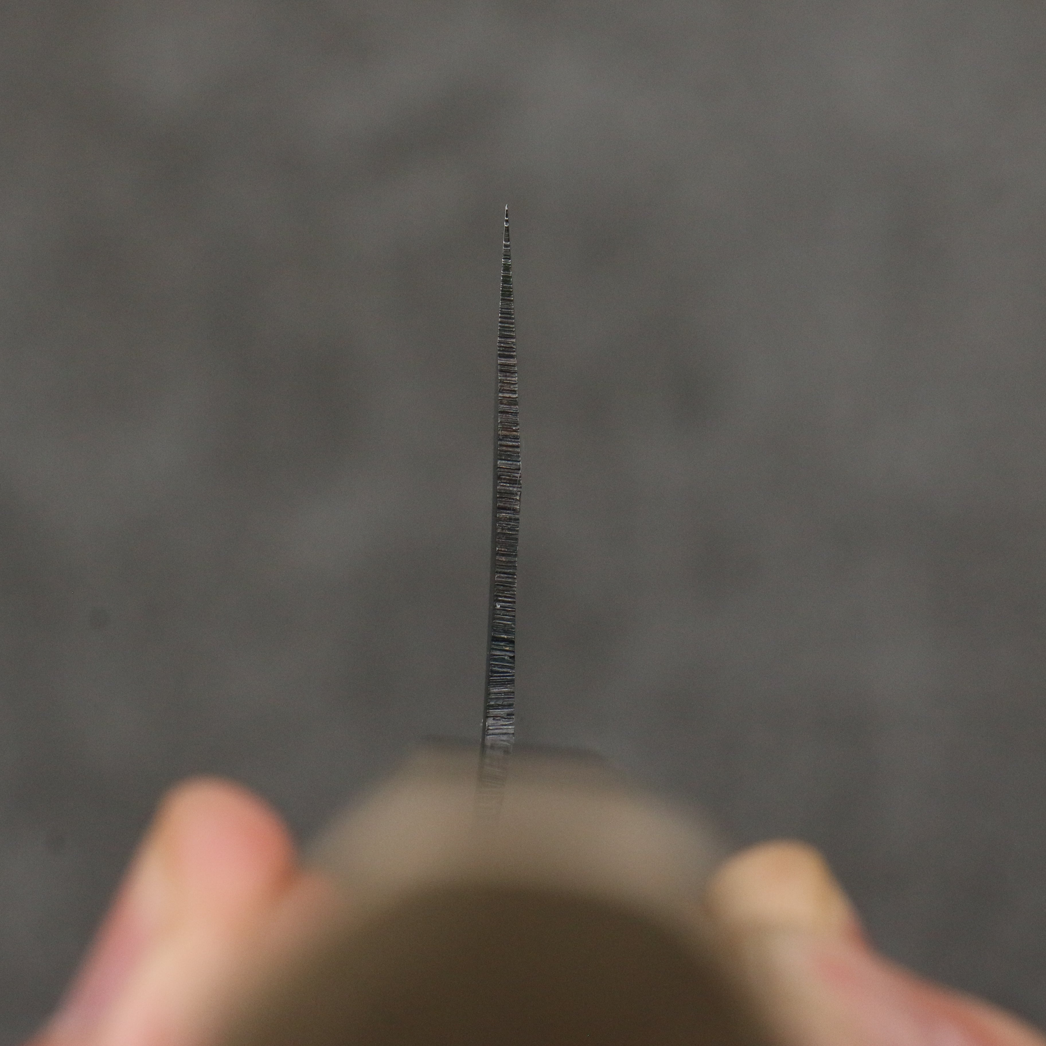 Seisuke Blue Super Black Finished Gyuto 240mm Magnolia (Ferrule: Ebony) Handle - Japanny - Best Japanese Knife