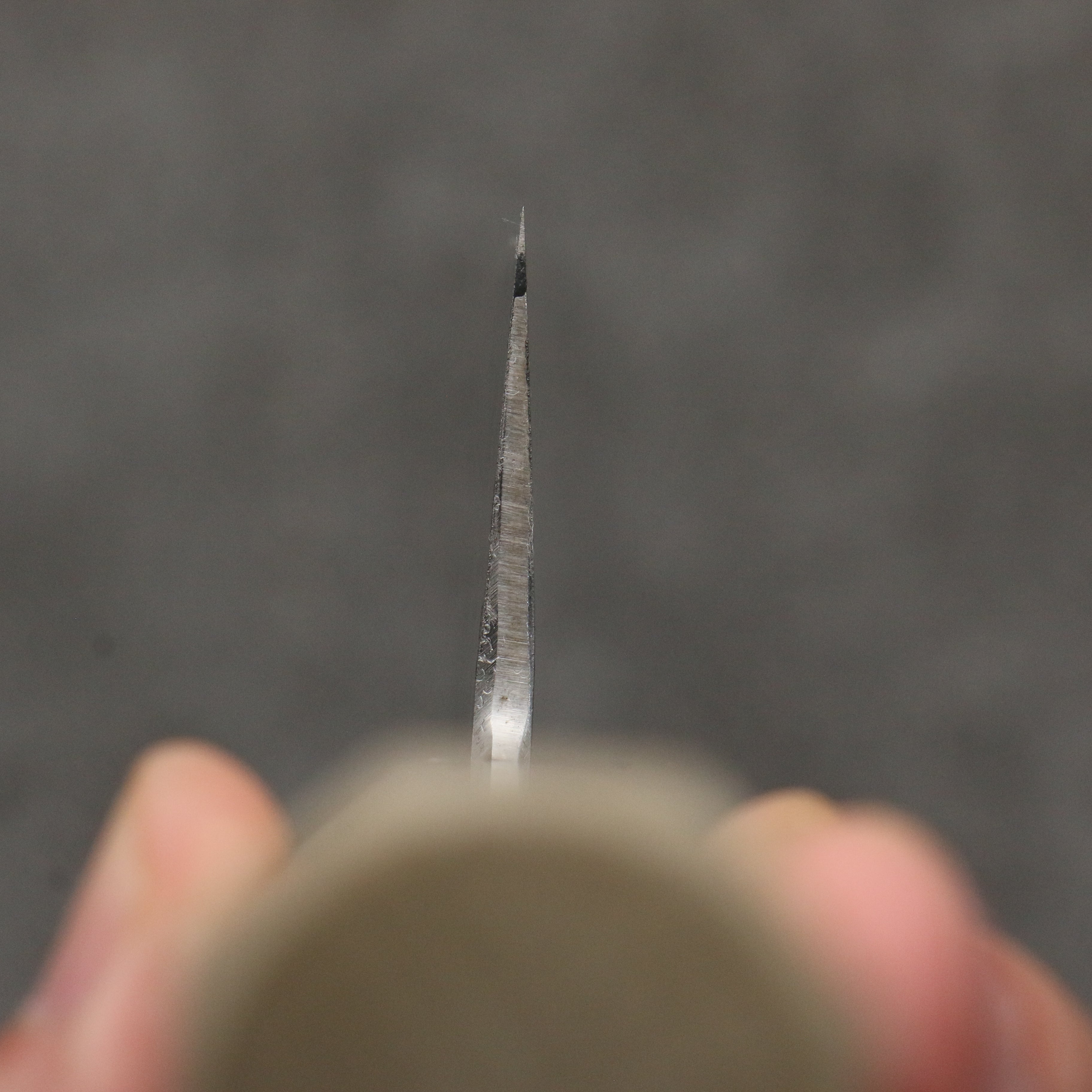 Sakai Takayuki Gold Filled Engraving by Kubota Fuji and Sunset Blue Steel No.2 Kiritsuke Gyuto 270mm Magnolia (Ferrule: Water Buffalo Horn) Handle - Japanny - Best Japanese Knife