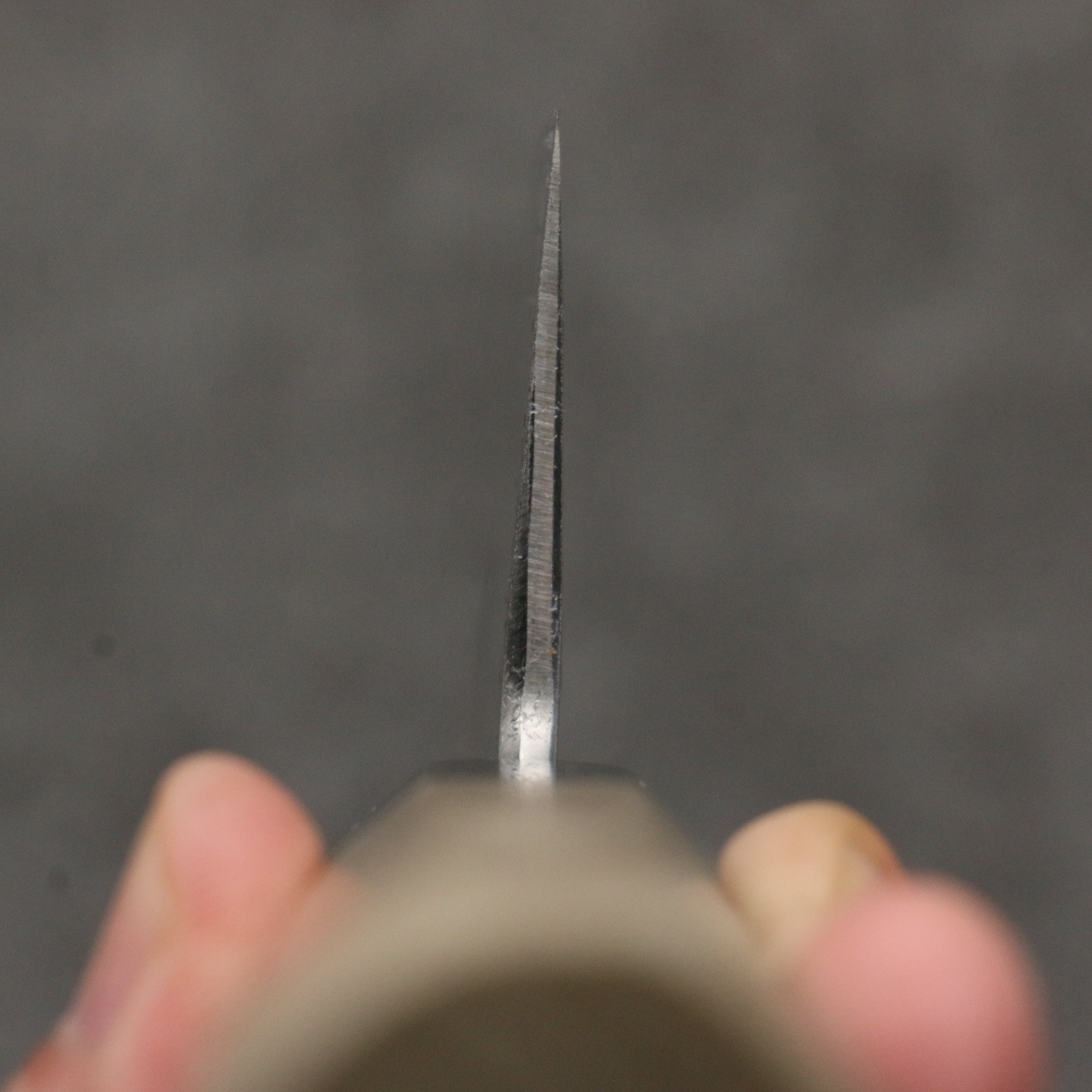 Sakai Takayuki Gold Filled Engraving by Kubota Fuji and Sunset Blue Steel No.2 Gyuto 270mm Magnolia (Ferrule: Water Buffalo Horn) Handle - Japanny - Best Japanese Knife