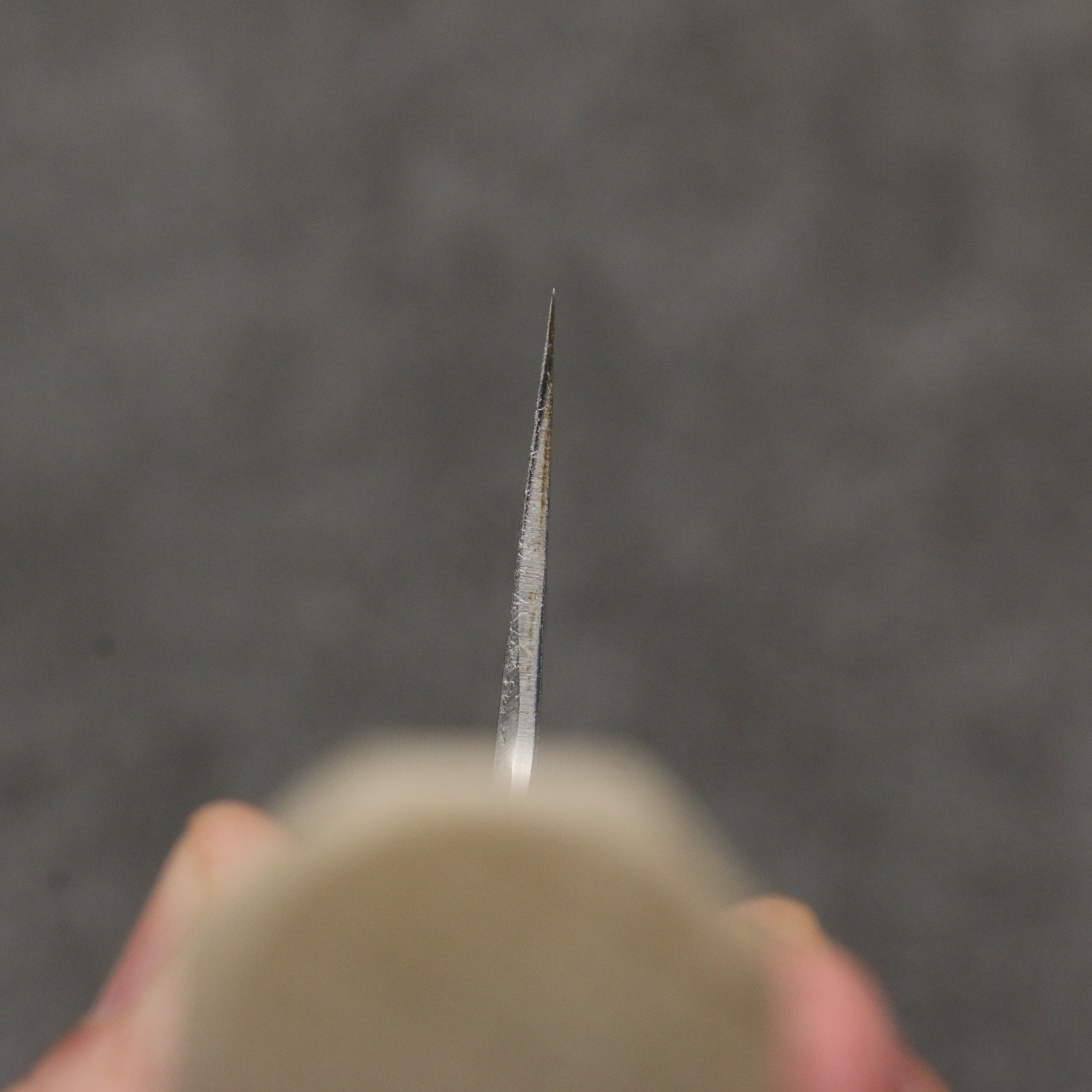 Sakai Takayuki Gold Filled Engraving by Kubota Fuji and Sunset Blue Steel No.2 Gyuto 240mm Magnolia (Ferrule: Water Buffalo Horn) Handle - Japanny - Best Japanese Knife