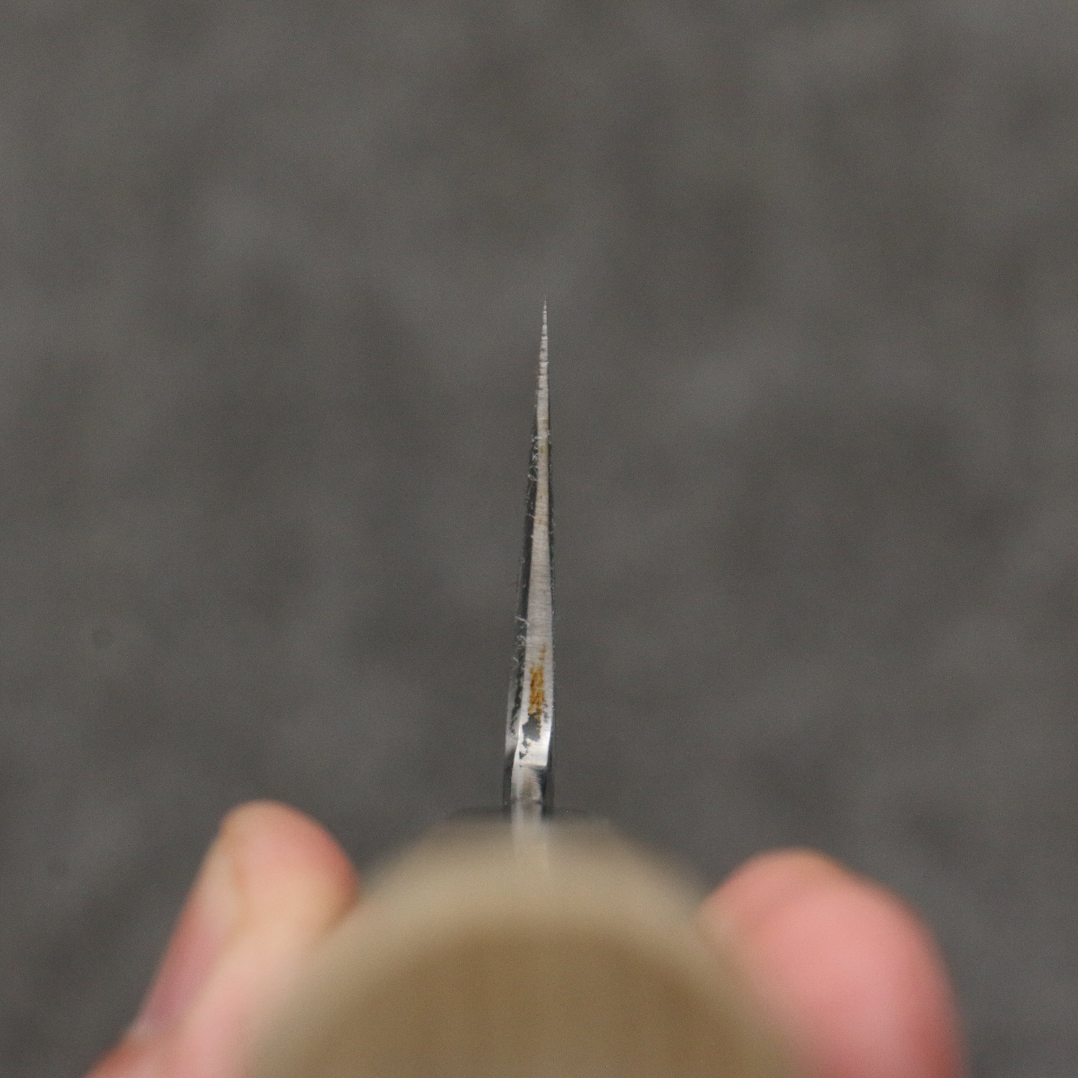 Sakai Takayuki Gold Filled Engraving by Kubota Fuji and Sunset Blue Steel No.2 Gyuto 210mm Magnolia (Ferrule: Water Buffalo Horn) Handle - Japanny - Best Japanese Knife