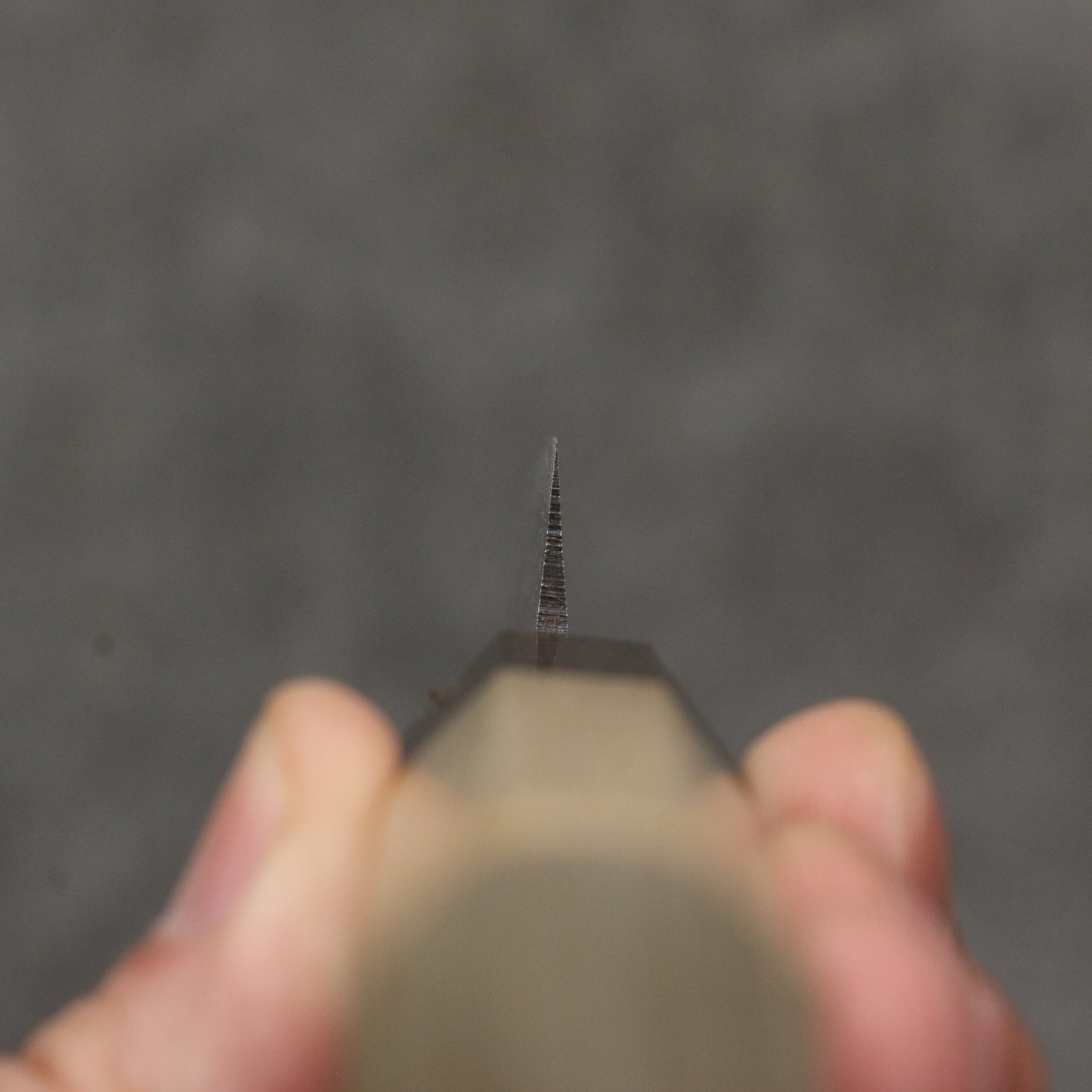 Seisuke Blue Steel No.1 Black Finished Paring 75mm Magnolia (Ferrule: Ebony) Handle - Japanny - Best Japanese Knife