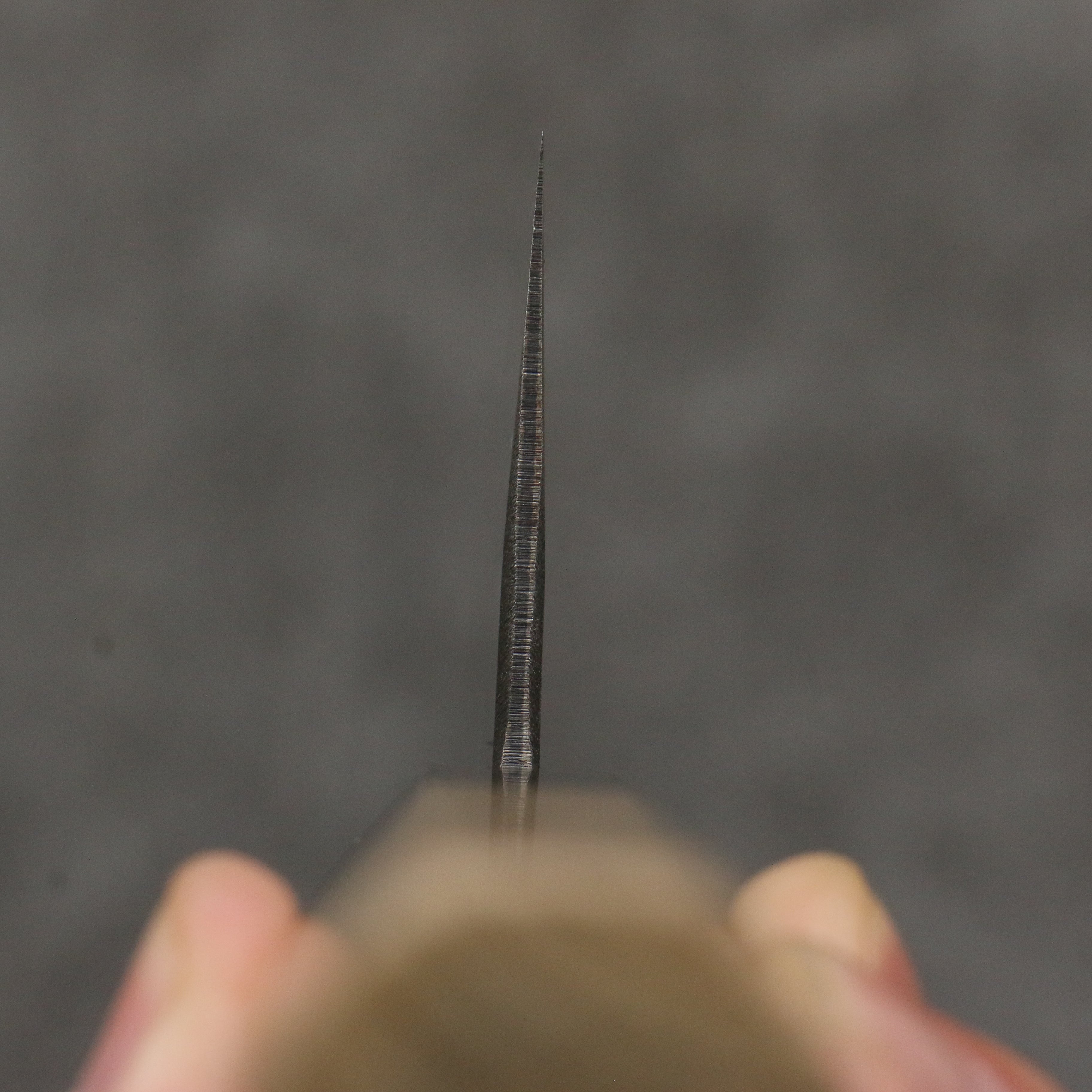 Seisuke Blue Steel No.2 Black Finished Nakiri 165mm Magnolia (Ferrule: Ebony) Handle - Japanny - Best Japanese Knife