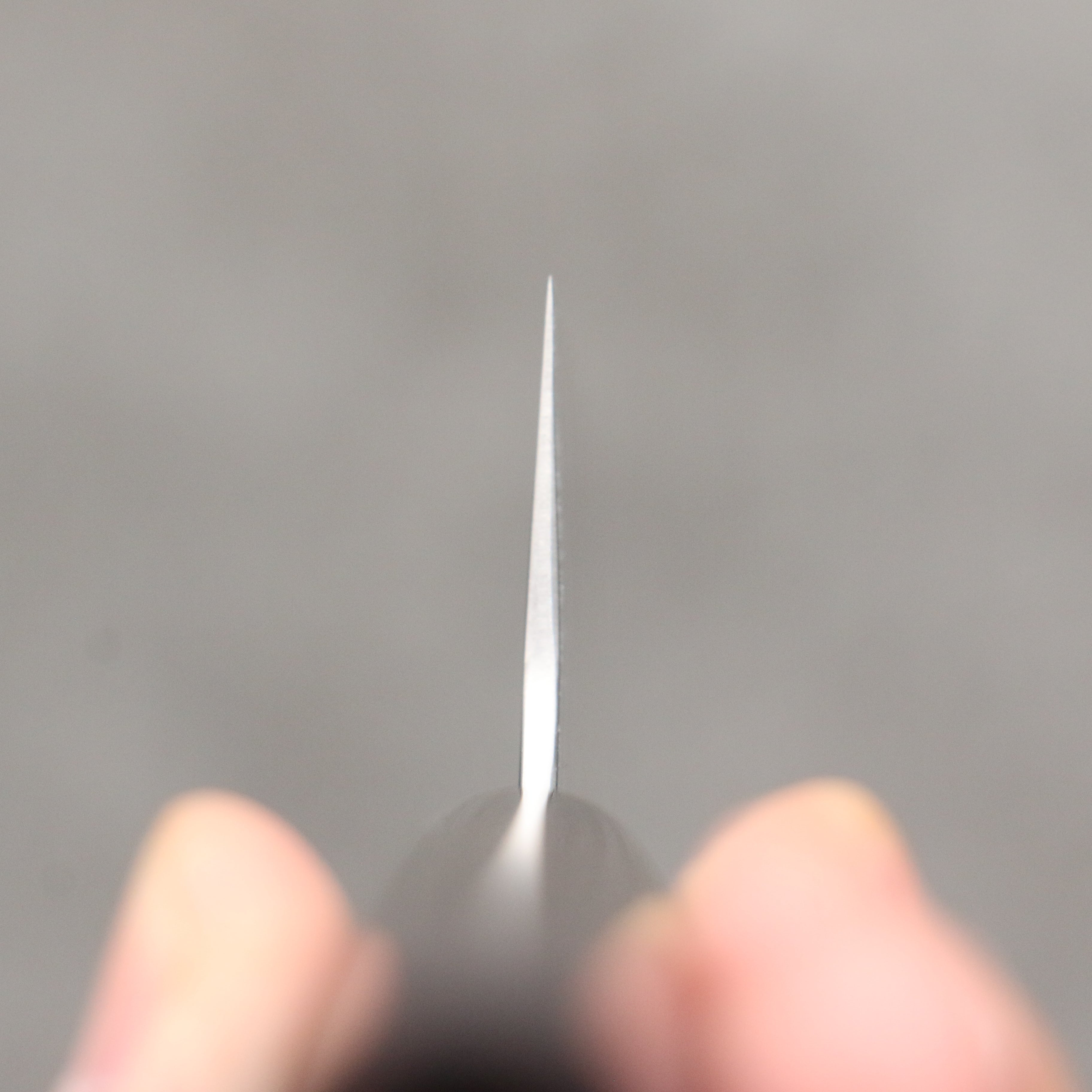 Shungo Ogata SG2 Migaki Finished Sujihiki 240mm Rosewood (Ferrule: Black Pakka Wood) Handle - Japanny - Best Japanese Knife