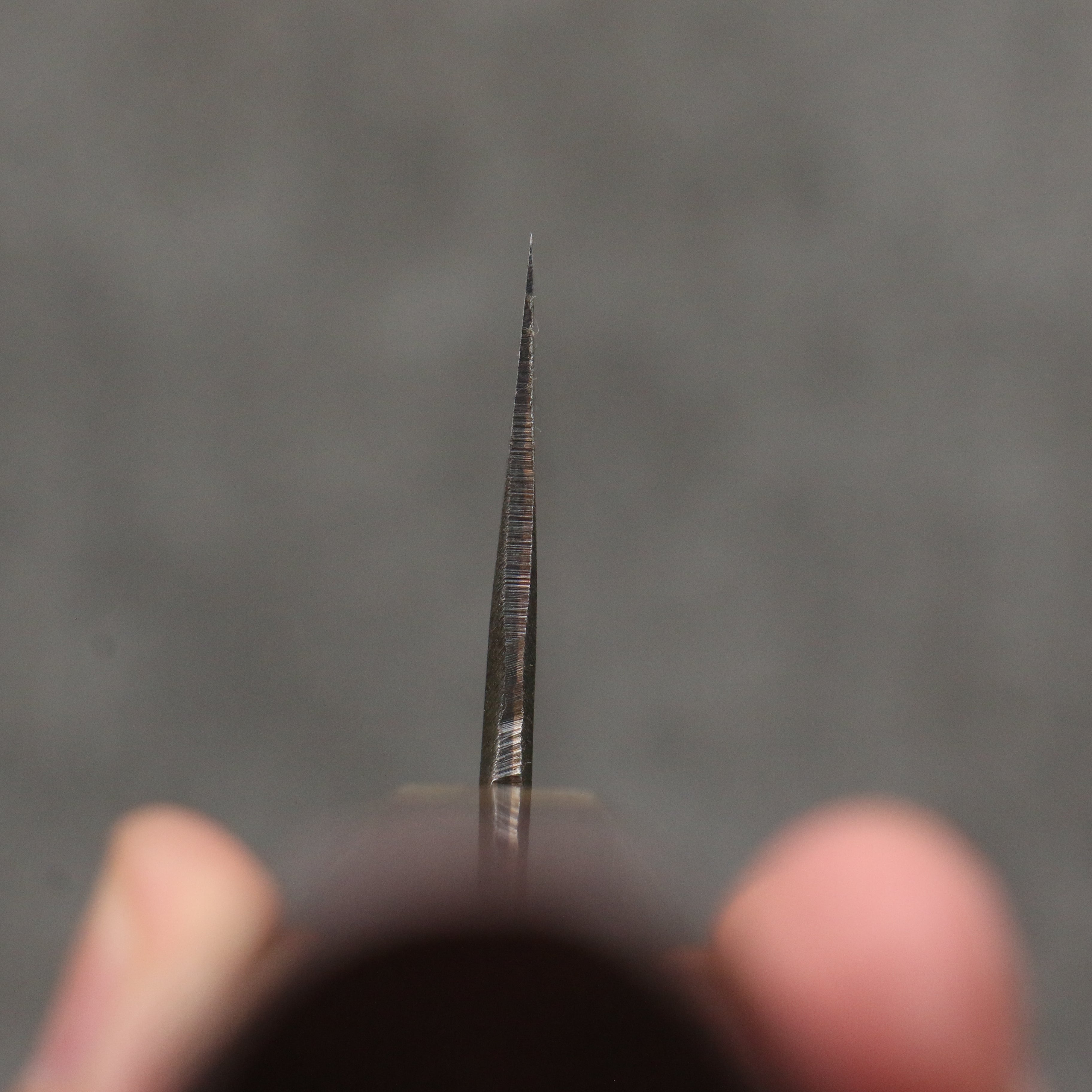 Seisuke Blue Steel No.2 Black Finished Kiritsuke Gyuto 240mm Purpleheart (Ferrule: Oak) Handle - Japanny - Best Japanese Knife