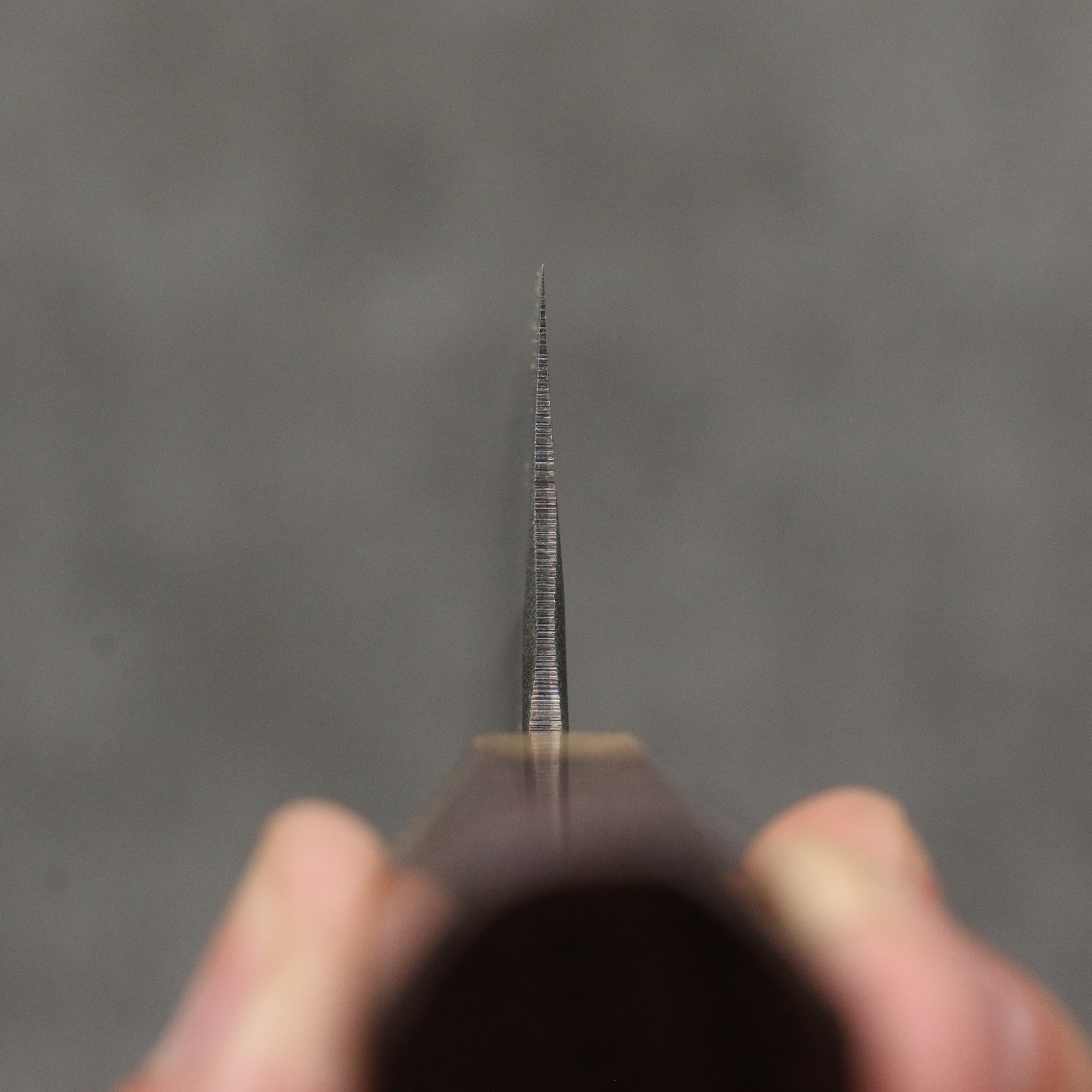 Seisuke Blue Steel No.2 Black Finished Small Bunka 150mm Purpleheart (Ferrule: Oak) Handle - Japanny - Best Japanese Knife