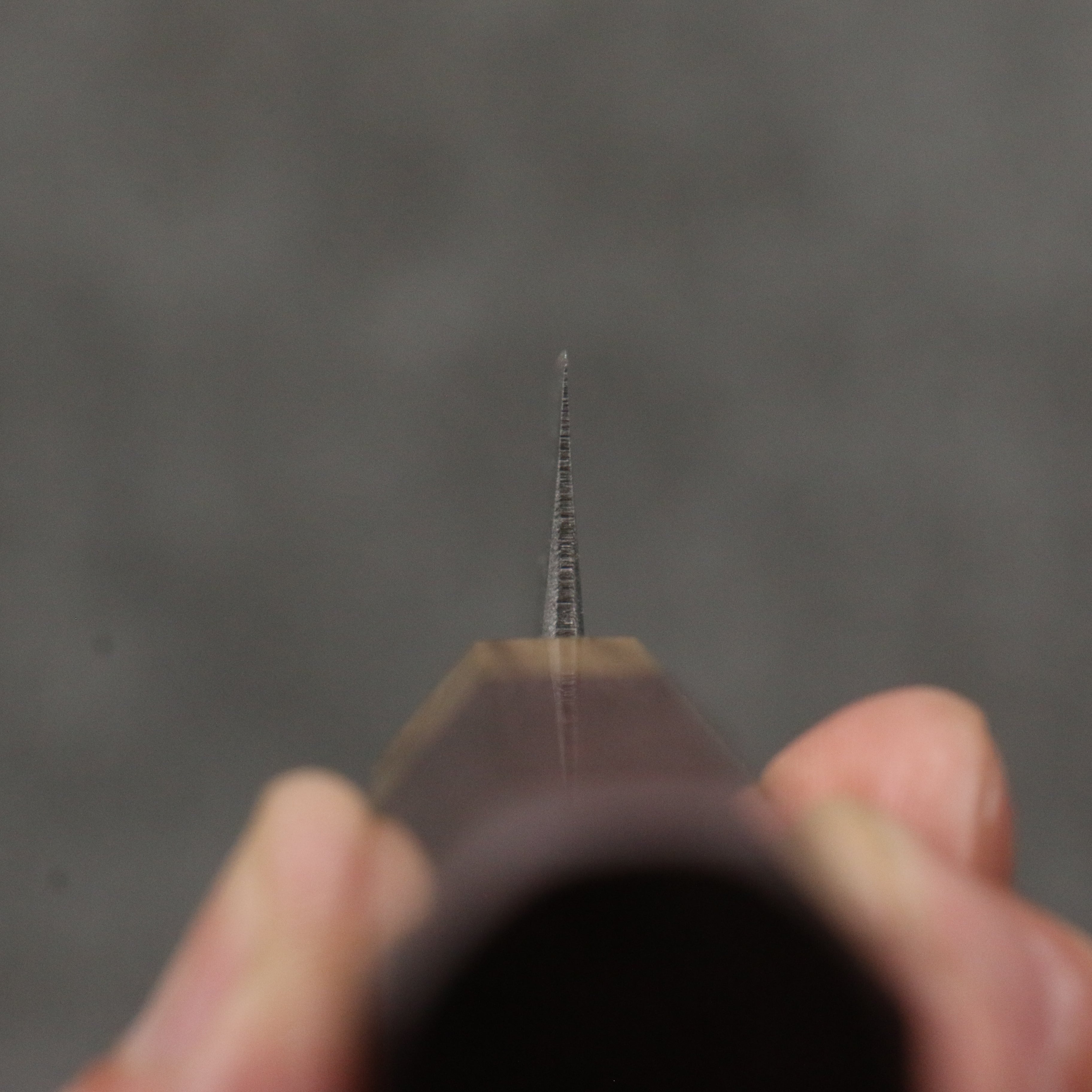 Seisuke Blue Steel No.2 Black Finished Kiritsuke Petty-Utility 120mm Purpleheart (Ferrule: Oak) Handle - Japanny - Best Japanese Knife