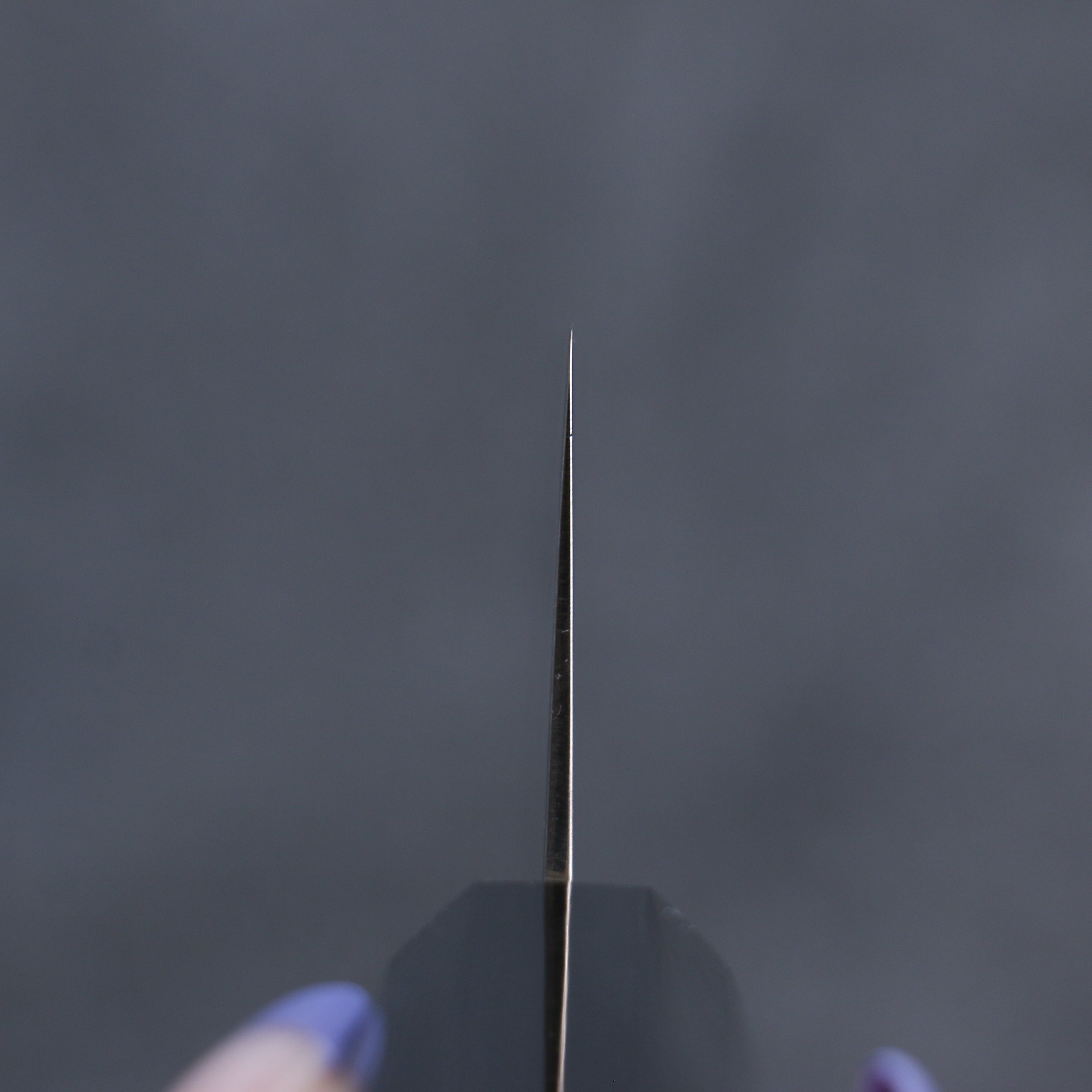 Seisuke VG10 Damascus Santoku 180mm Wood(Lacquered) Handle - Japanny - Best Japanese Knife