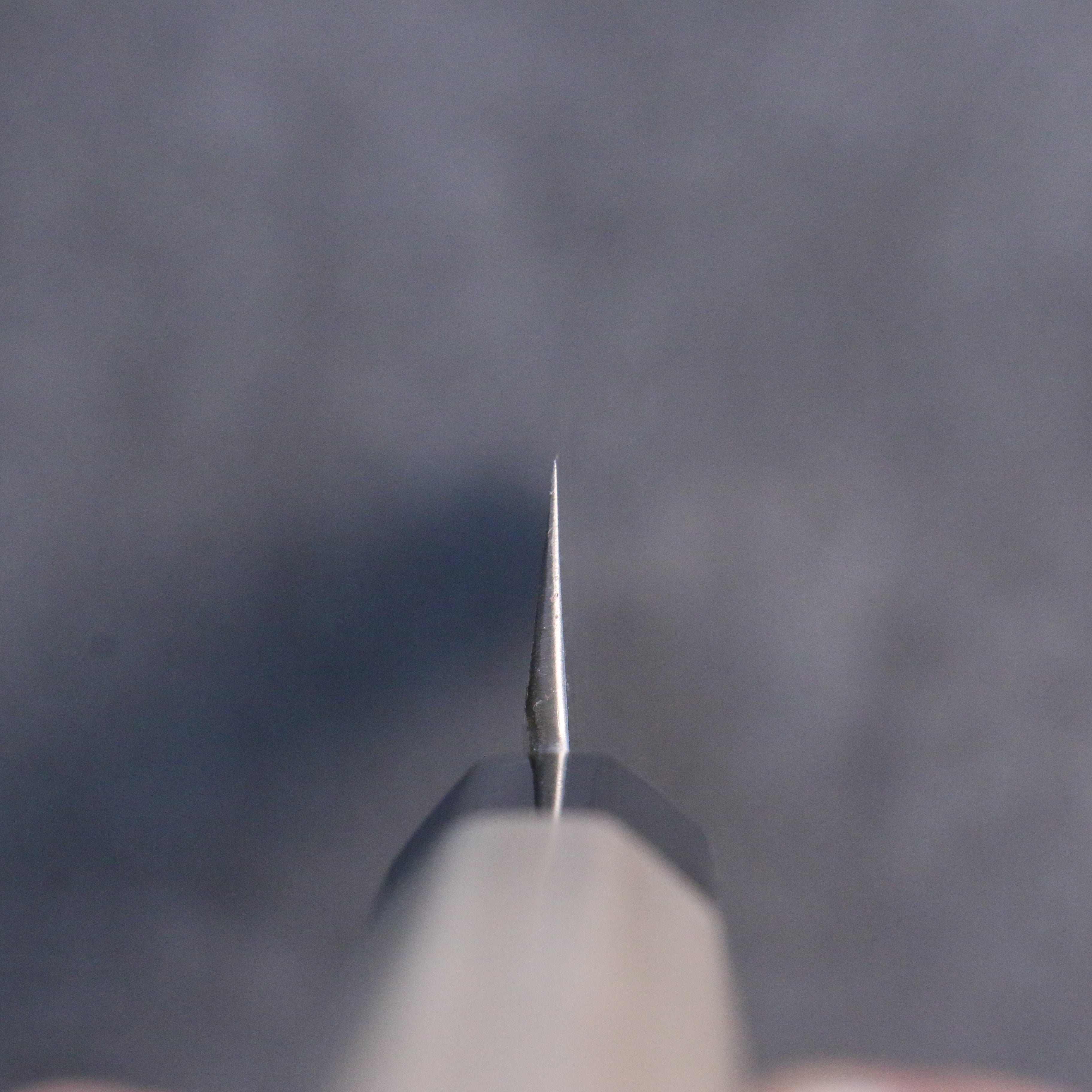 Kikuzuki Silver Steel No.3 Bokashi Sakimaru Takohiki 270mm Magnolia Handle - Japanny - Best Japanese Knife