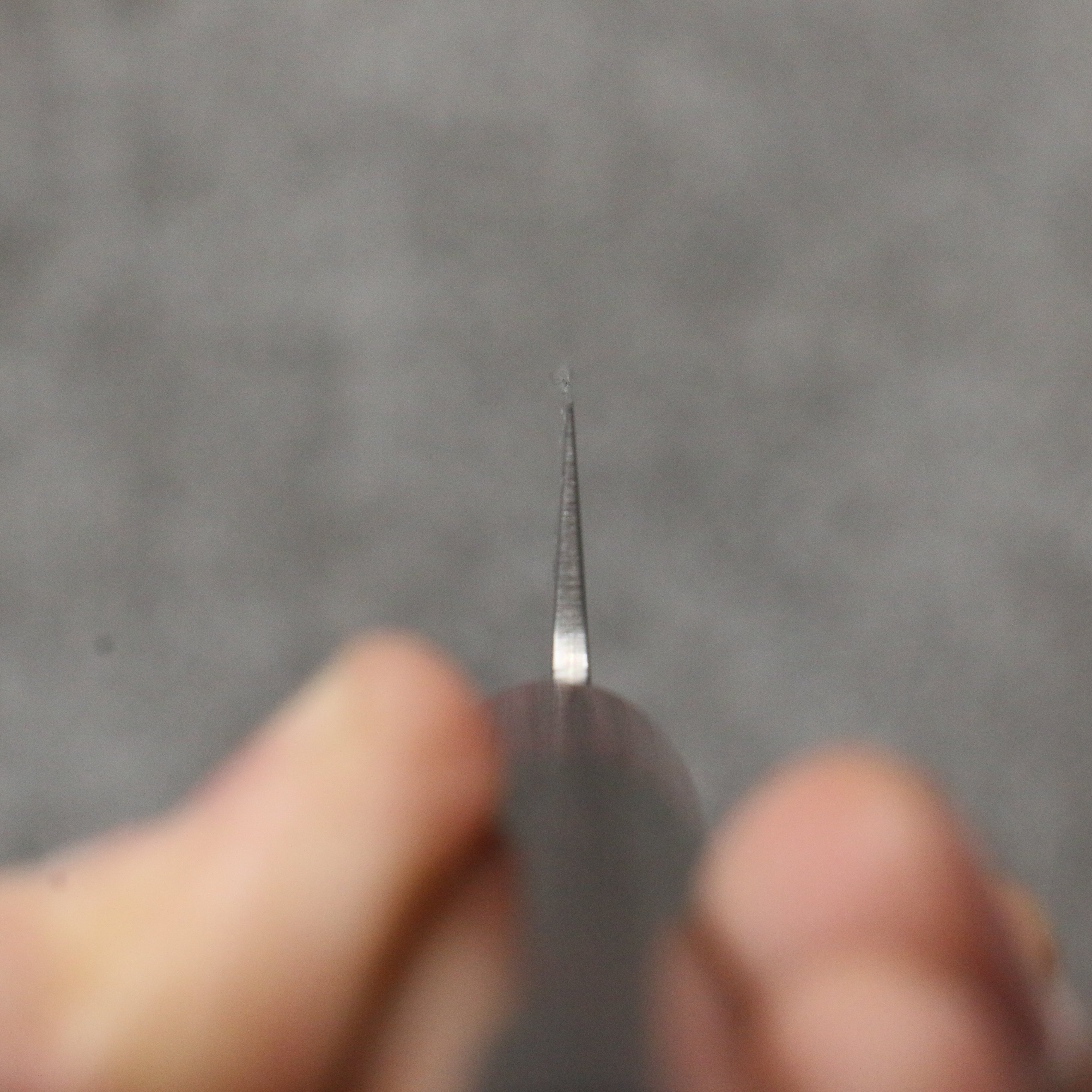 Sakai Takayuki VG10 Damascus Petty-Utility 150mm Rosewood Handle - Japanny - Best Japanese Knife