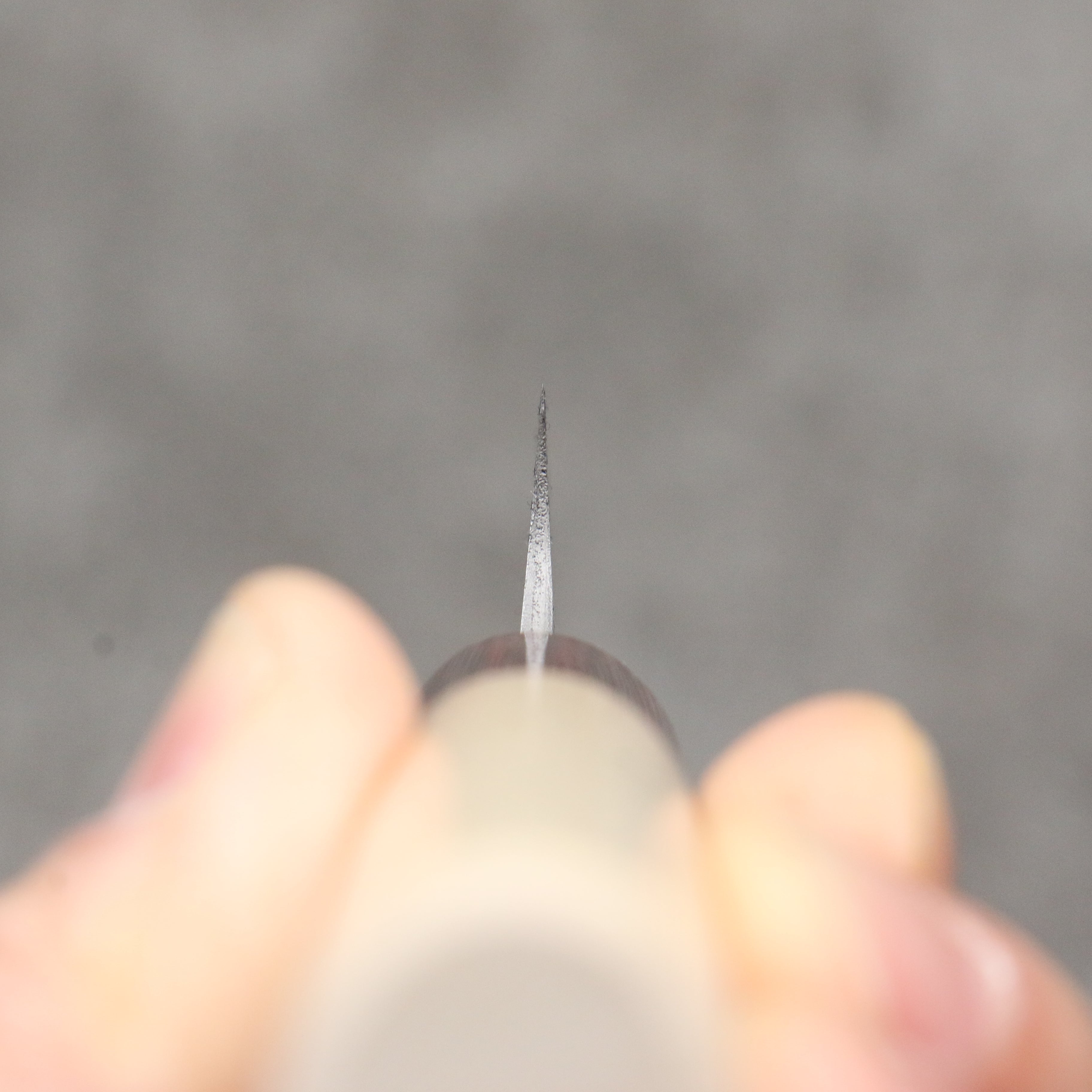 Masakage Yuki White Steel No.2 Nashiji Paring 75mm Magnolia Handle - Japanny - Best Japanese Knife