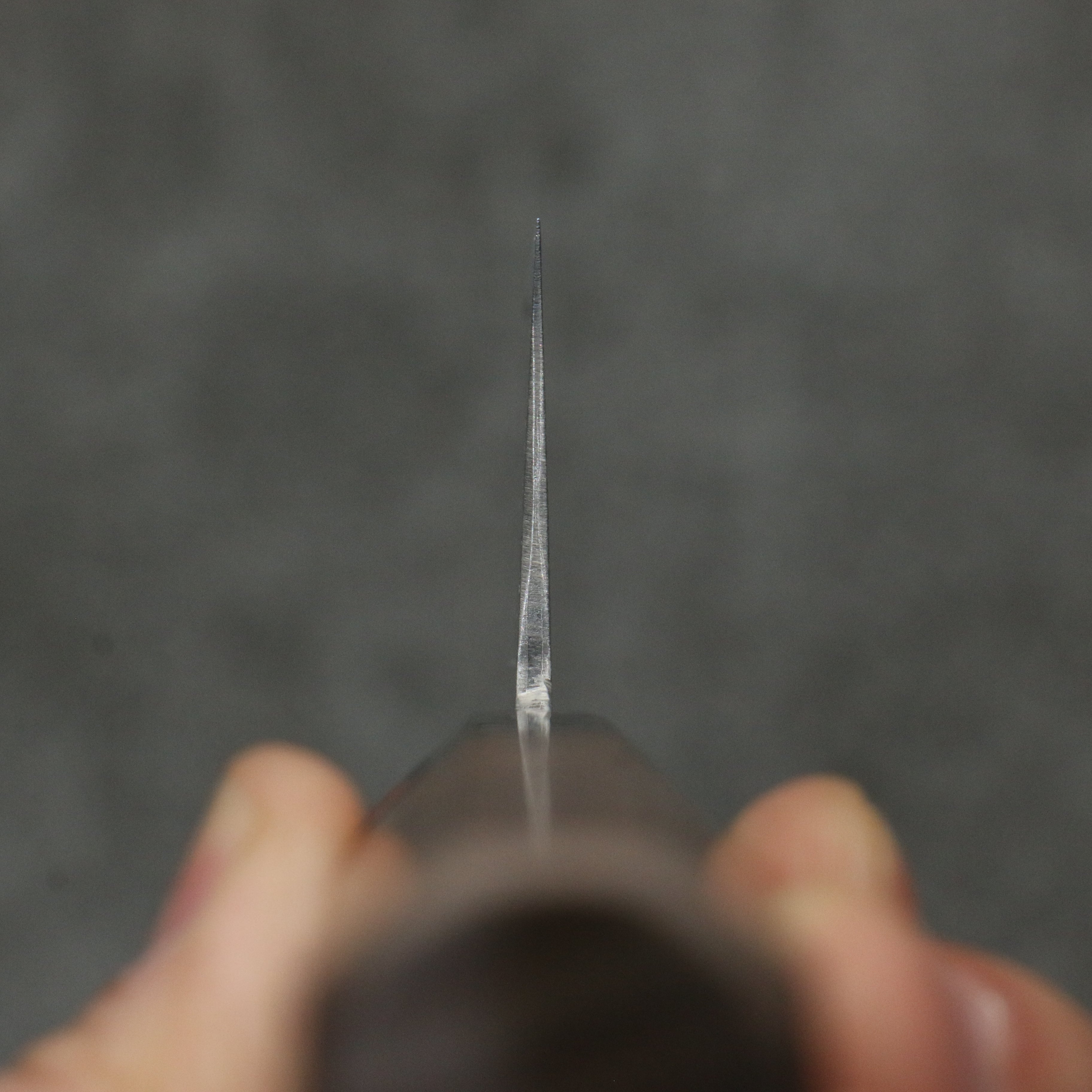 Shigeki Tanaka Harukaze SG2 Damascus Santoku 165mm Walnut Handle - Japanny - Best Japanese Knife