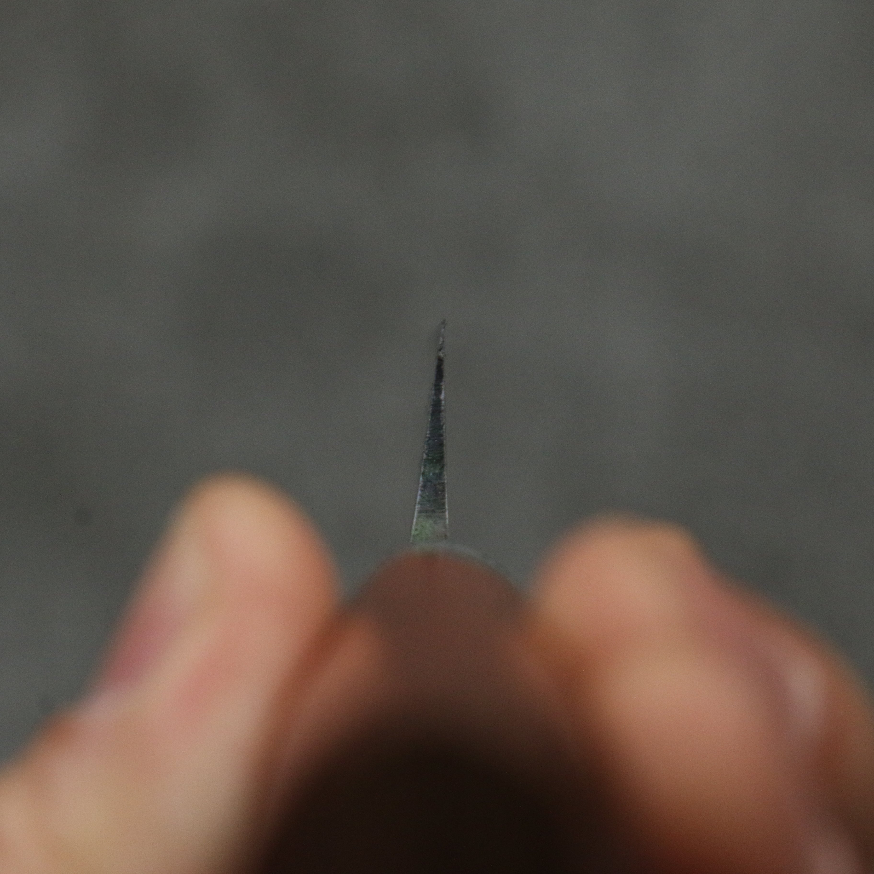 Hideo Kitaoka Blue Steel No.2 Yanagiba 210mm Bubinga Handle - Japanny - Best Japanese Knife