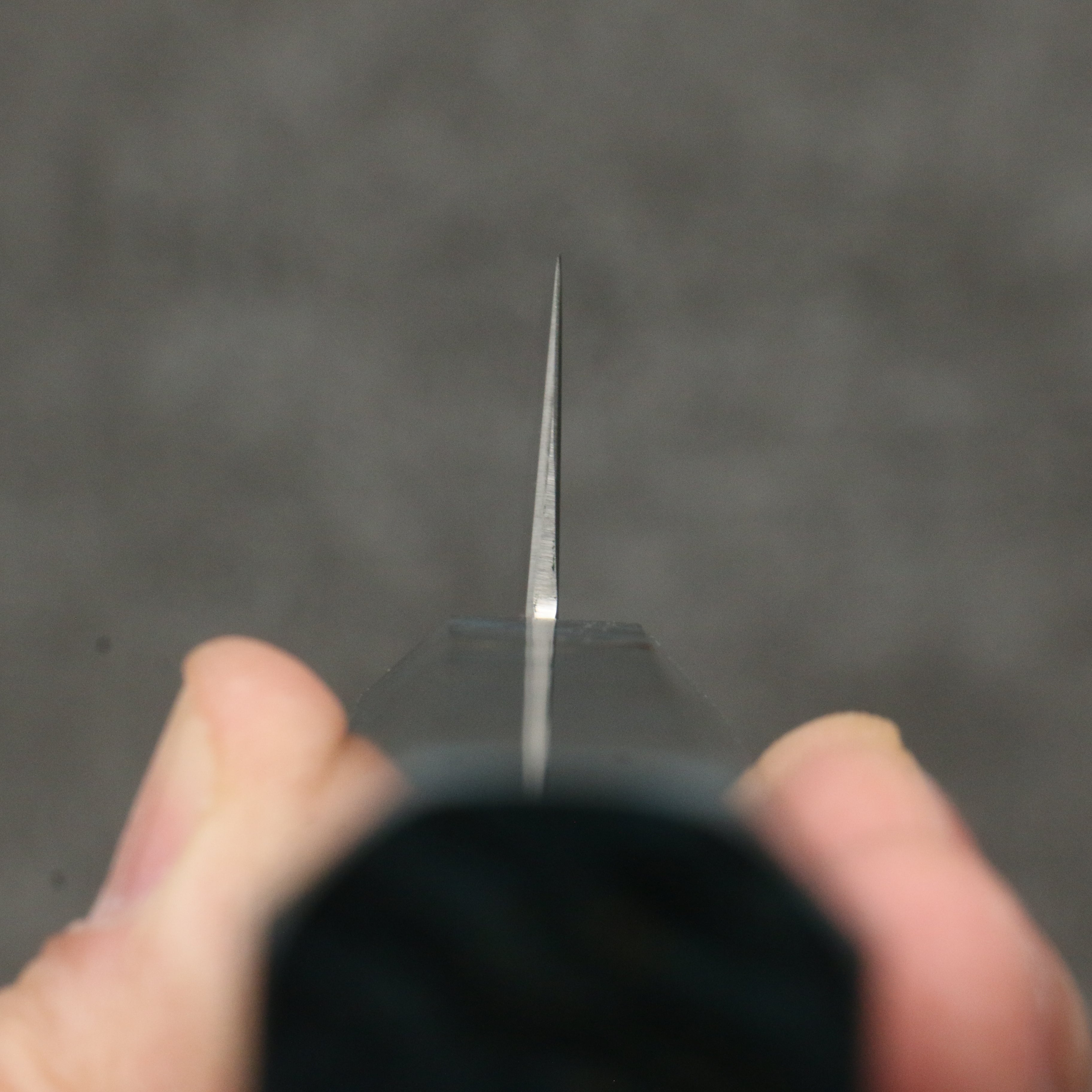 Seisuke VG10 Mirrored Finish Sujihiki 240mm Stabilized wood Handle - Japanny - Best Japanese Knife