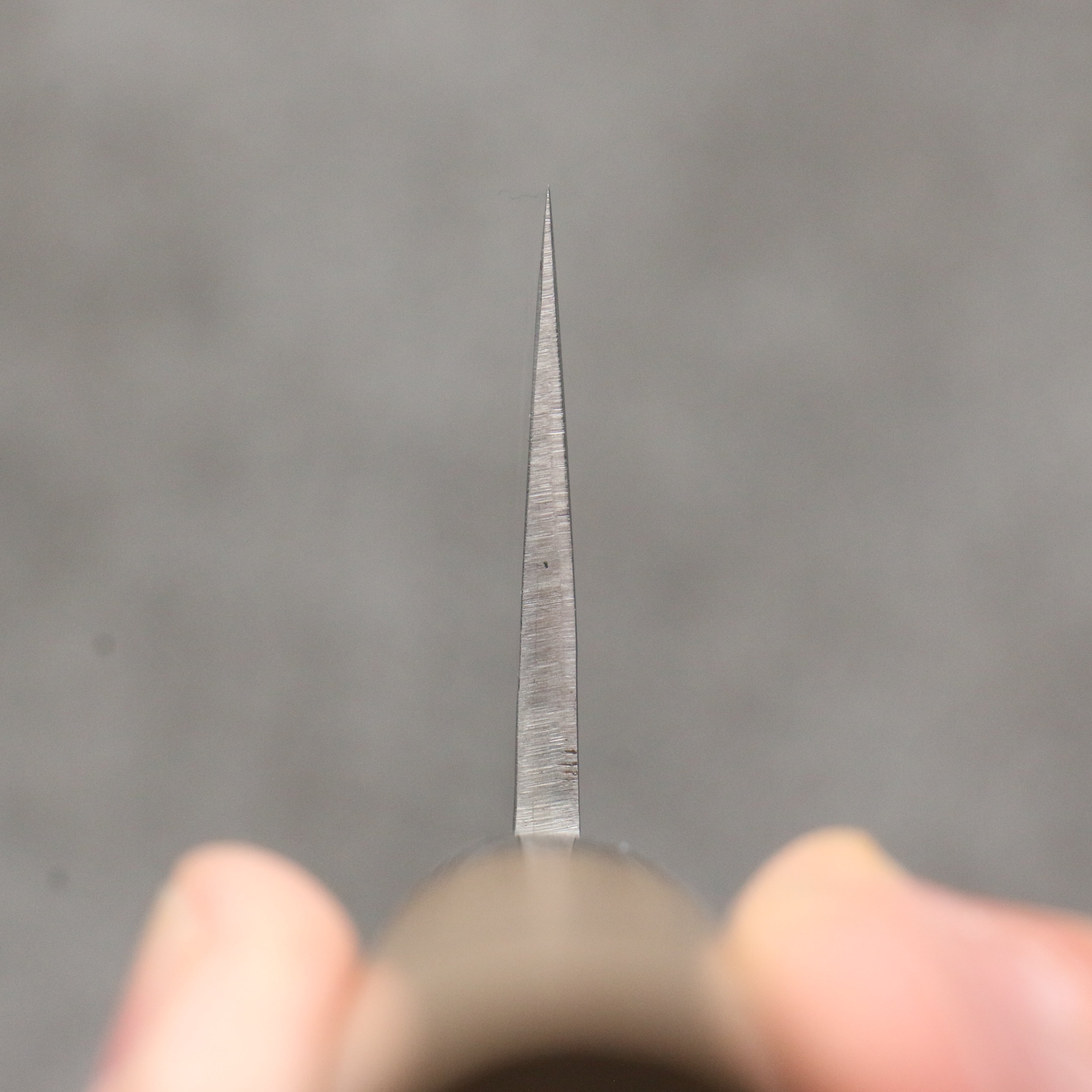 Tadafusa SLD Hammered Gyuto 240mm Walnut Handle - Japanny - Best Japanese Knife