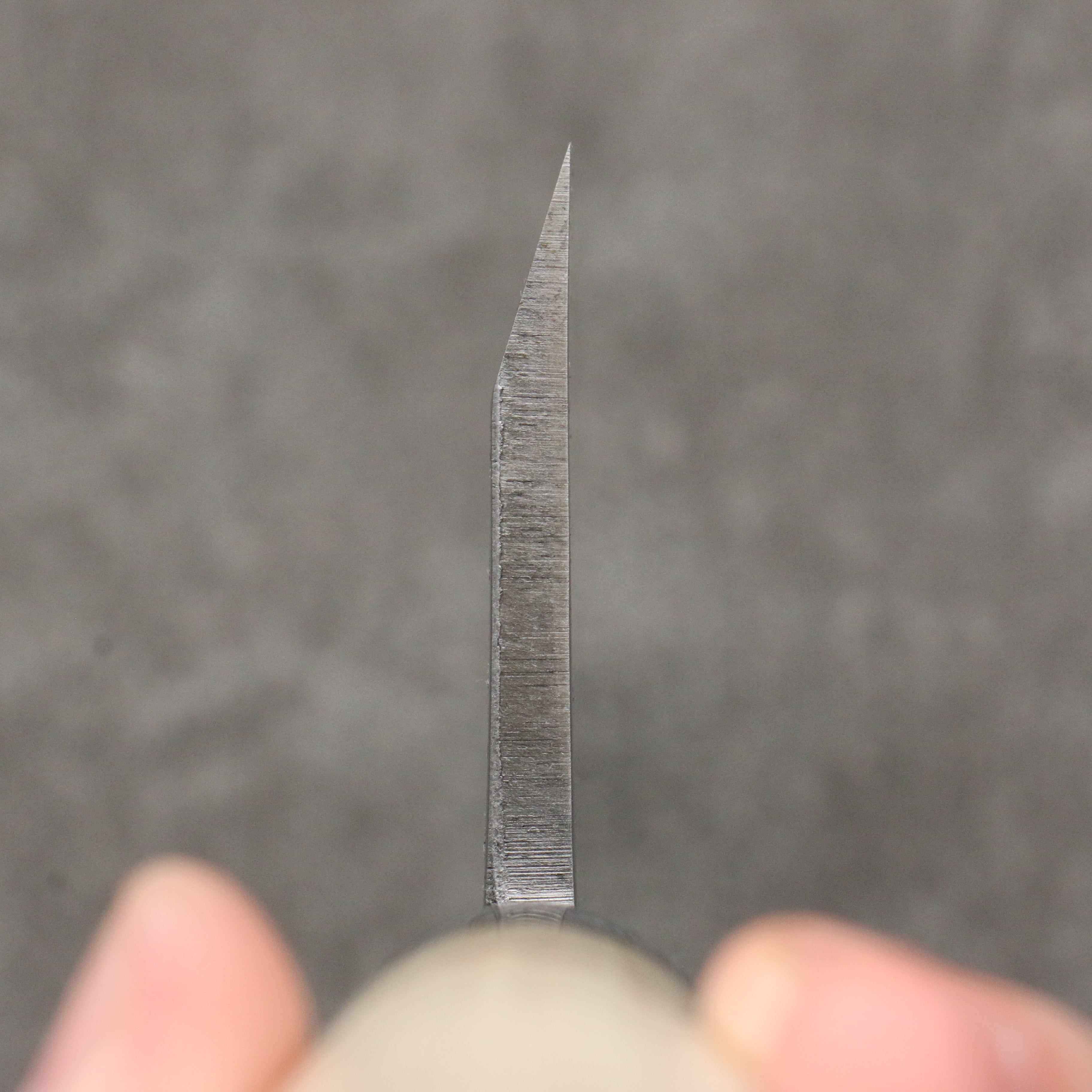 Sakai Takayuki Engraving by Kubota Nennensaisai White Steel No.2 Deba 300mm Magnolia Handle - Japanny - Best Japanese Knife