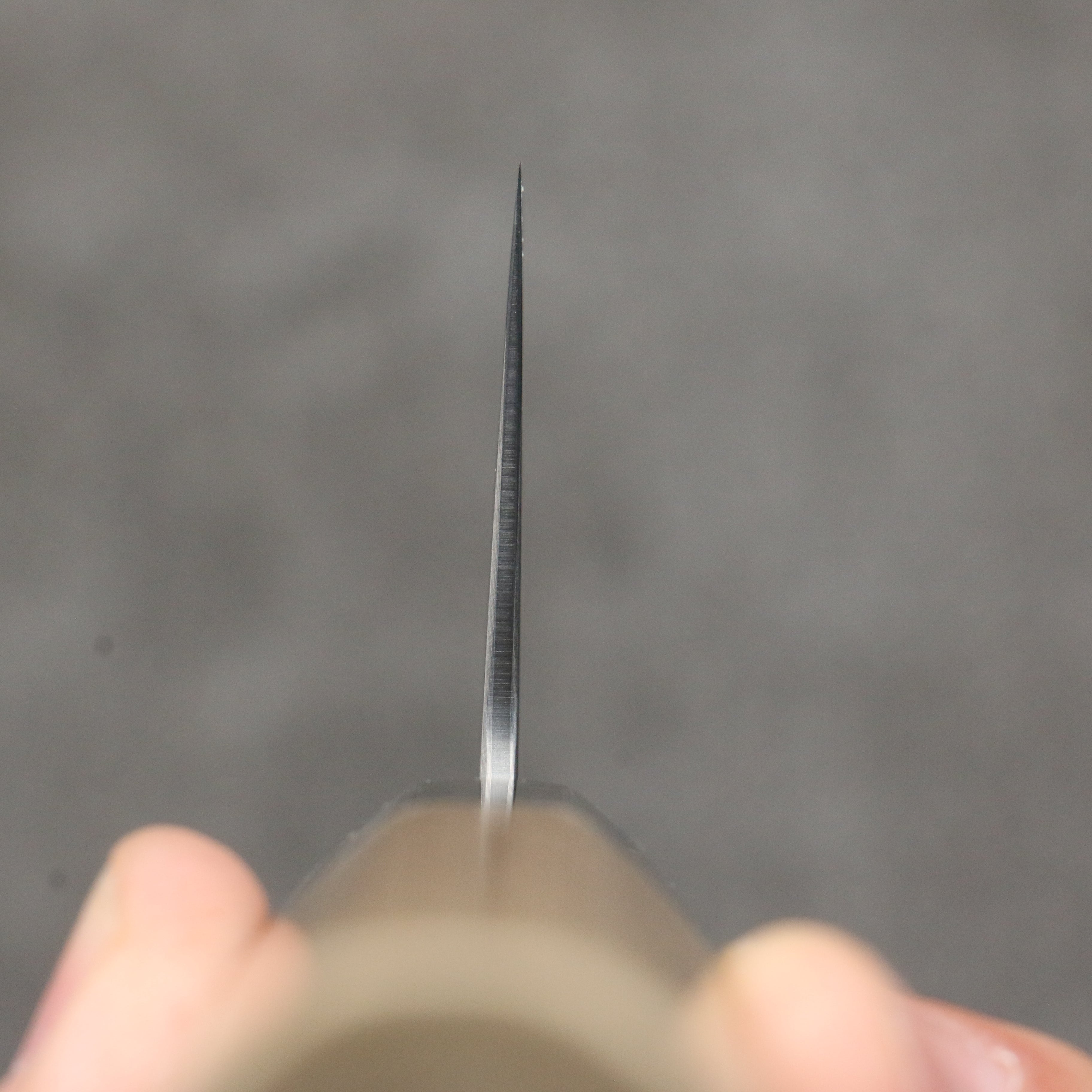 Seisuke SG2 Damascus Kiritsuke Gyuto 240mm Magnolia Handle - Japanny - Best Japanese Knife