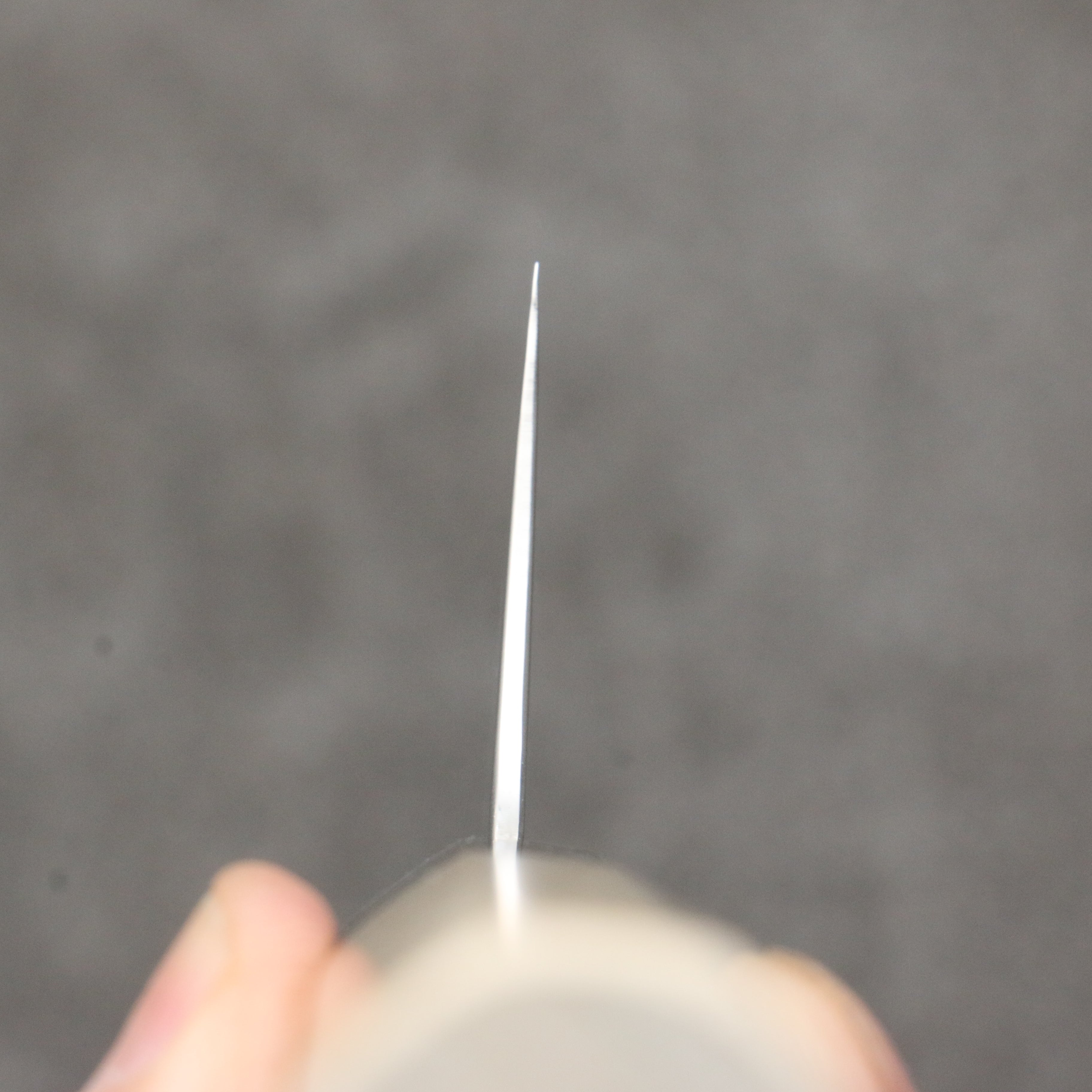 Seisuke SG2 Damascus Gyuto 240mm Magnolia Handle - Japanny - Best Japanese Knife