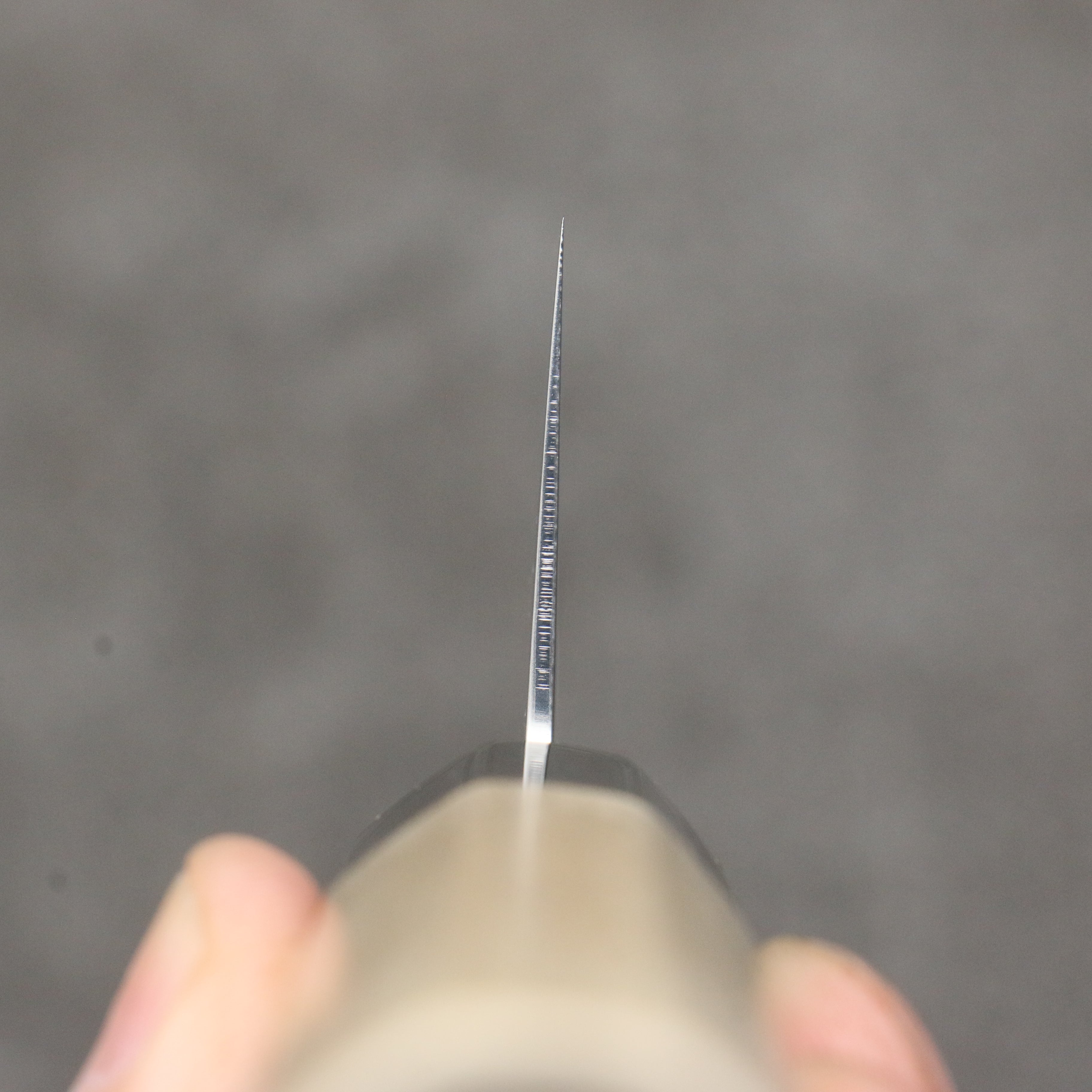 Seisuke VG10 Damascus Kiritsuke Gyuto 210mm Magnolia Handle - Japanny - Best Japanese Knife